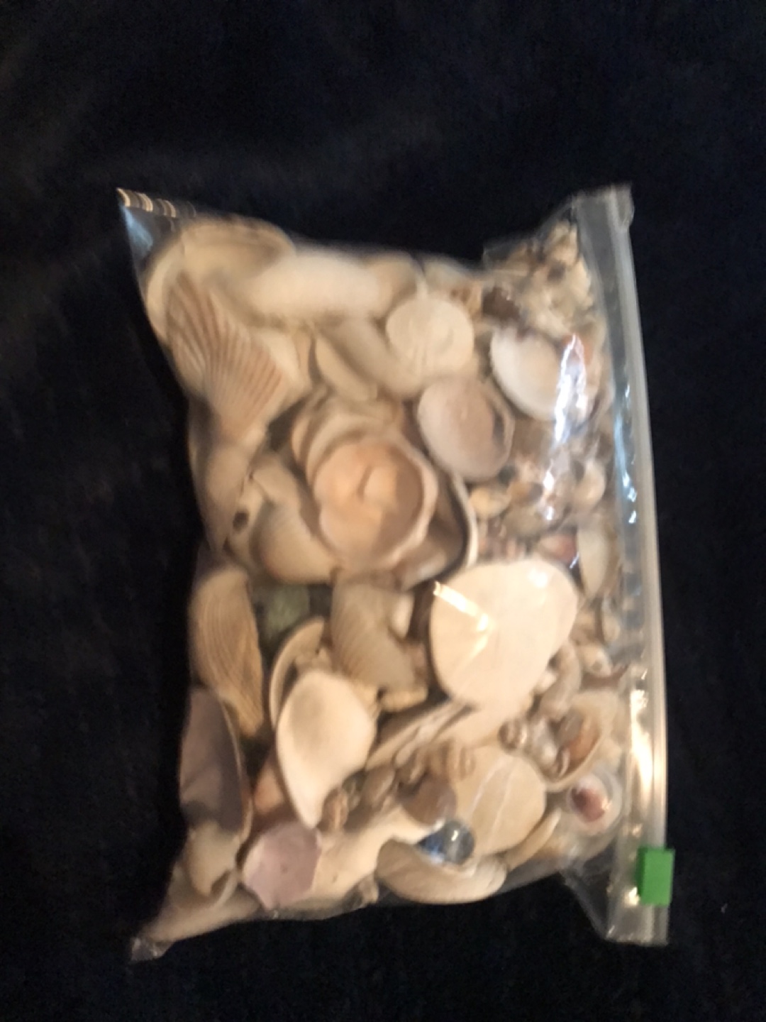 Bag of assorted seashells - photo 2
