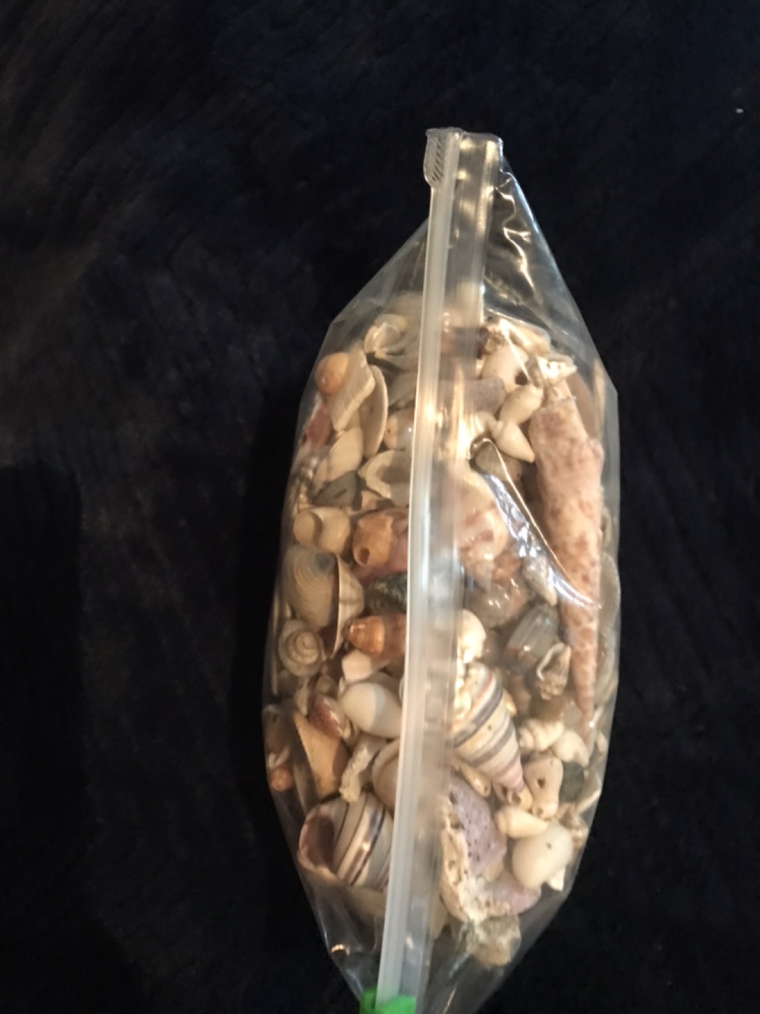 Bag of assorted seashells - photo 3