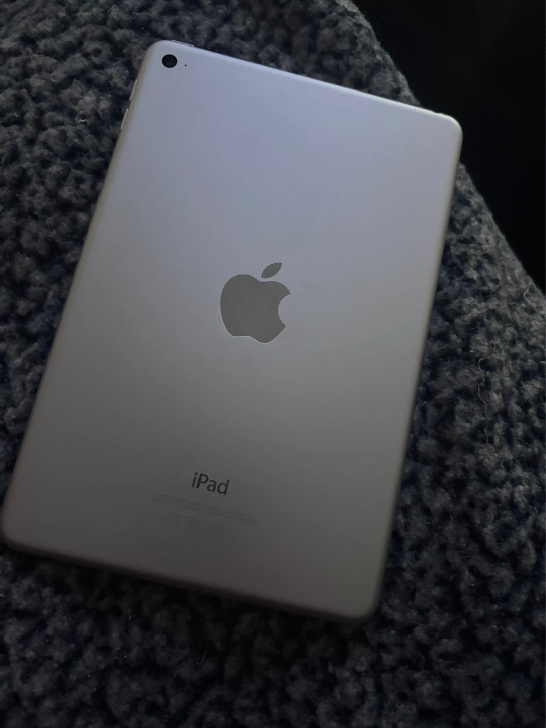 Apple iPad mini 4 - photo 2