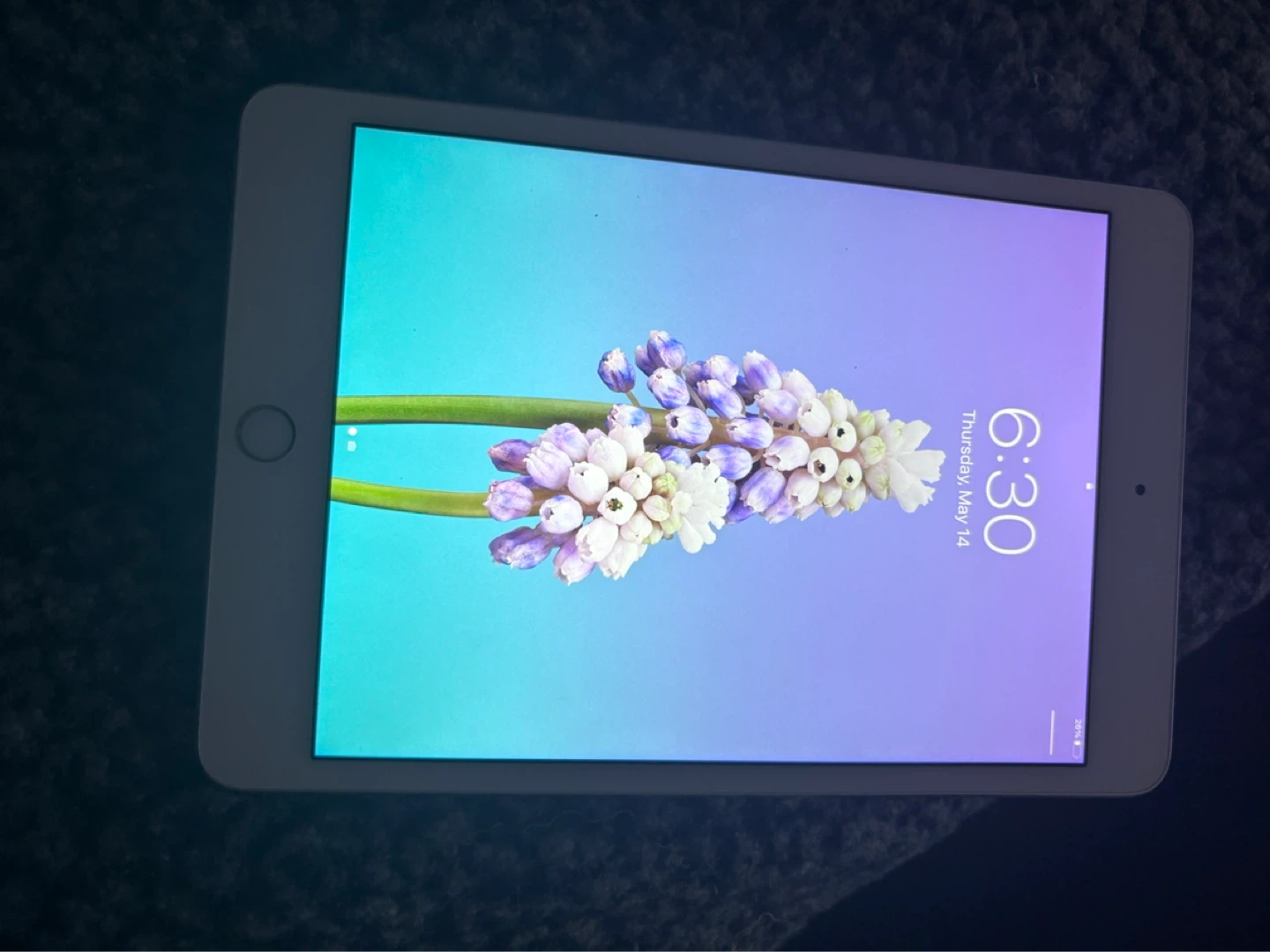 Apple iPad mini 4