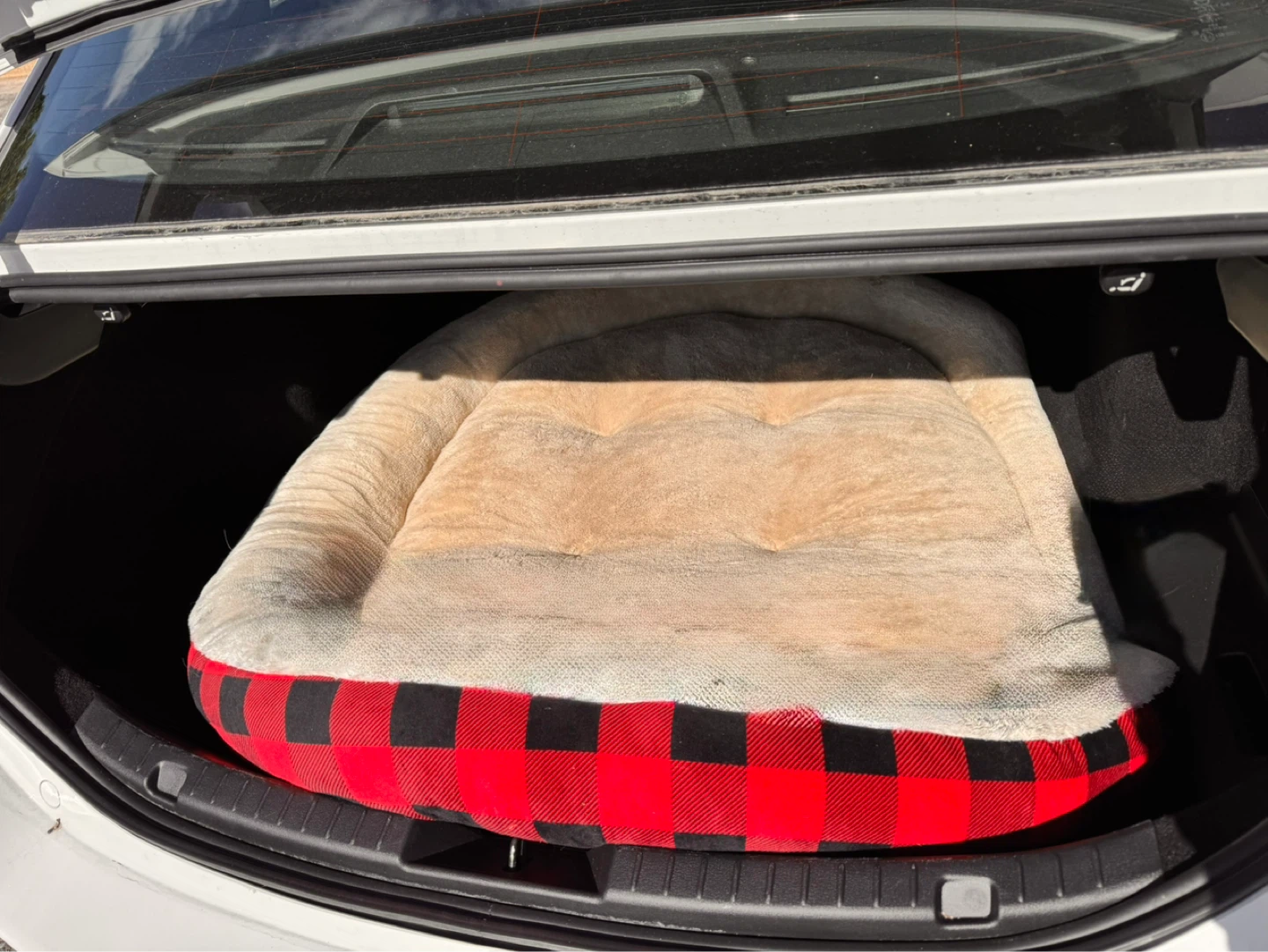 Plush Dog Bed - Tan and Buffalo Check