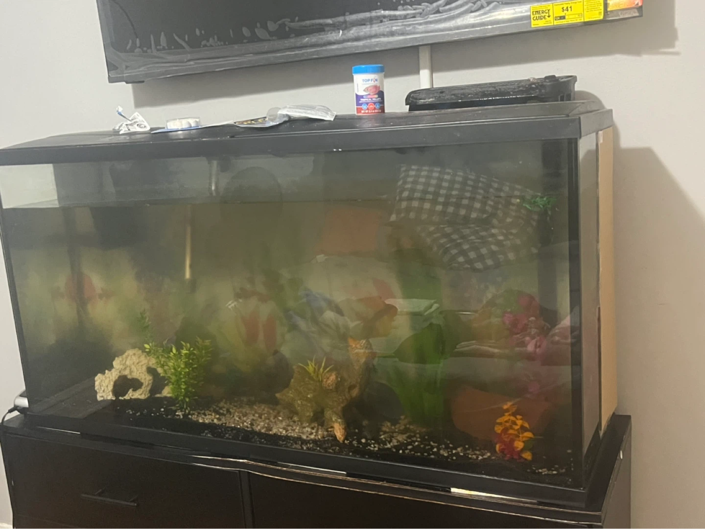55gallon Aquarium Fish Tank