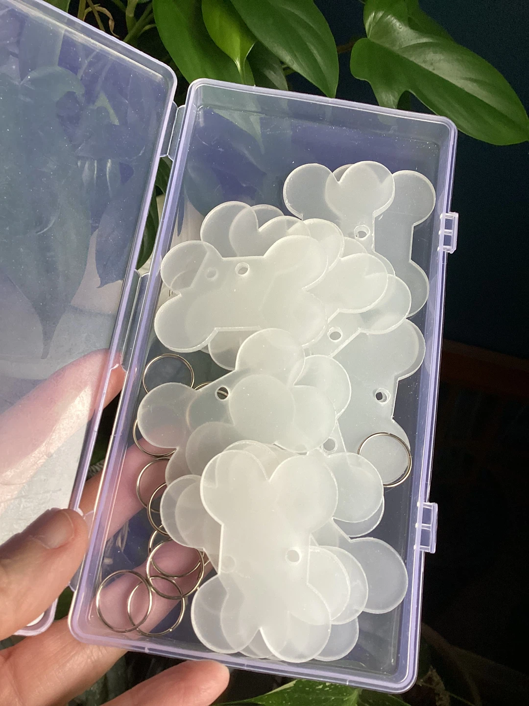 Acrylic Dog Tag Blanks