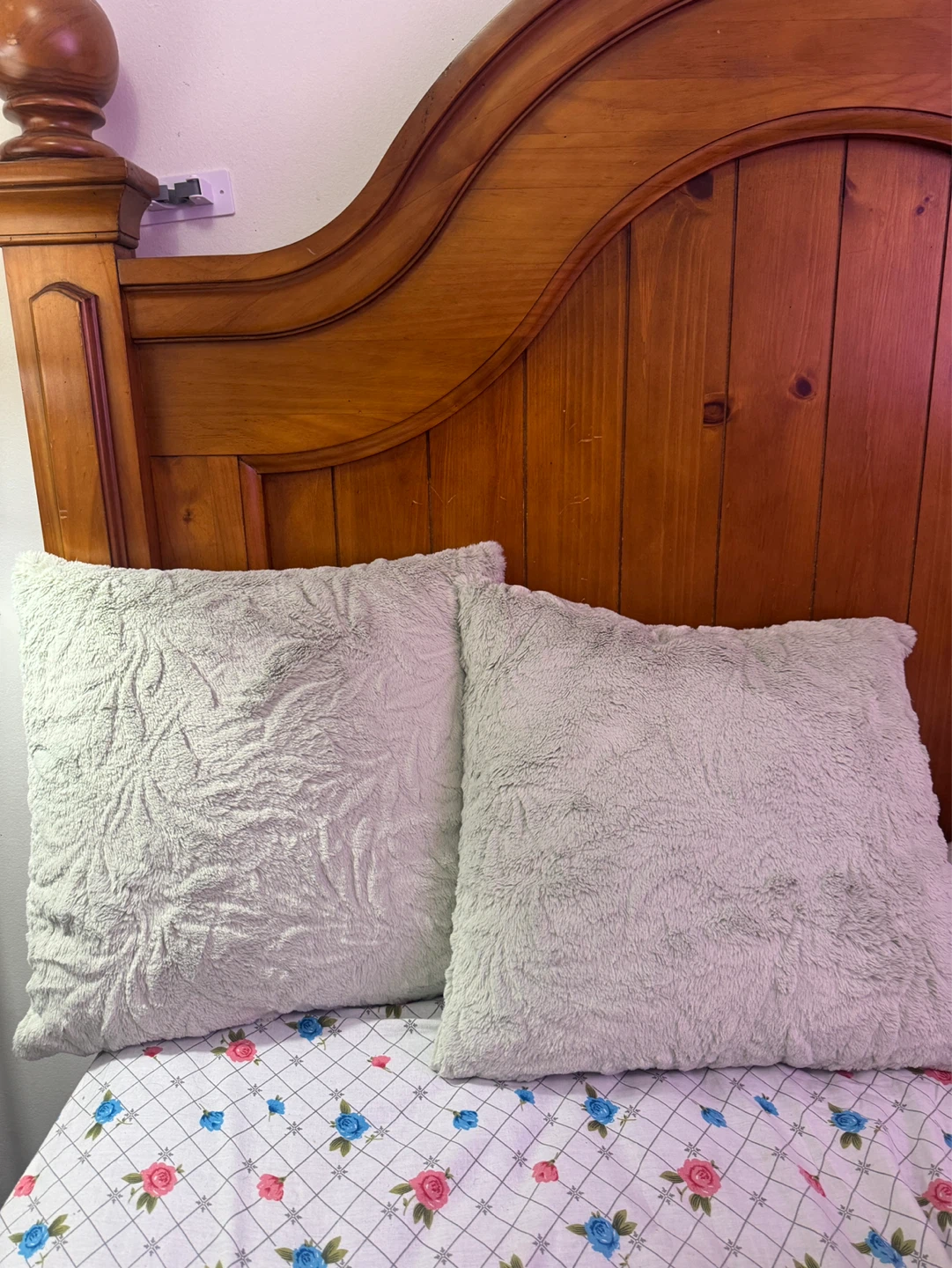 Set of 2 Plush Decorative Pillows