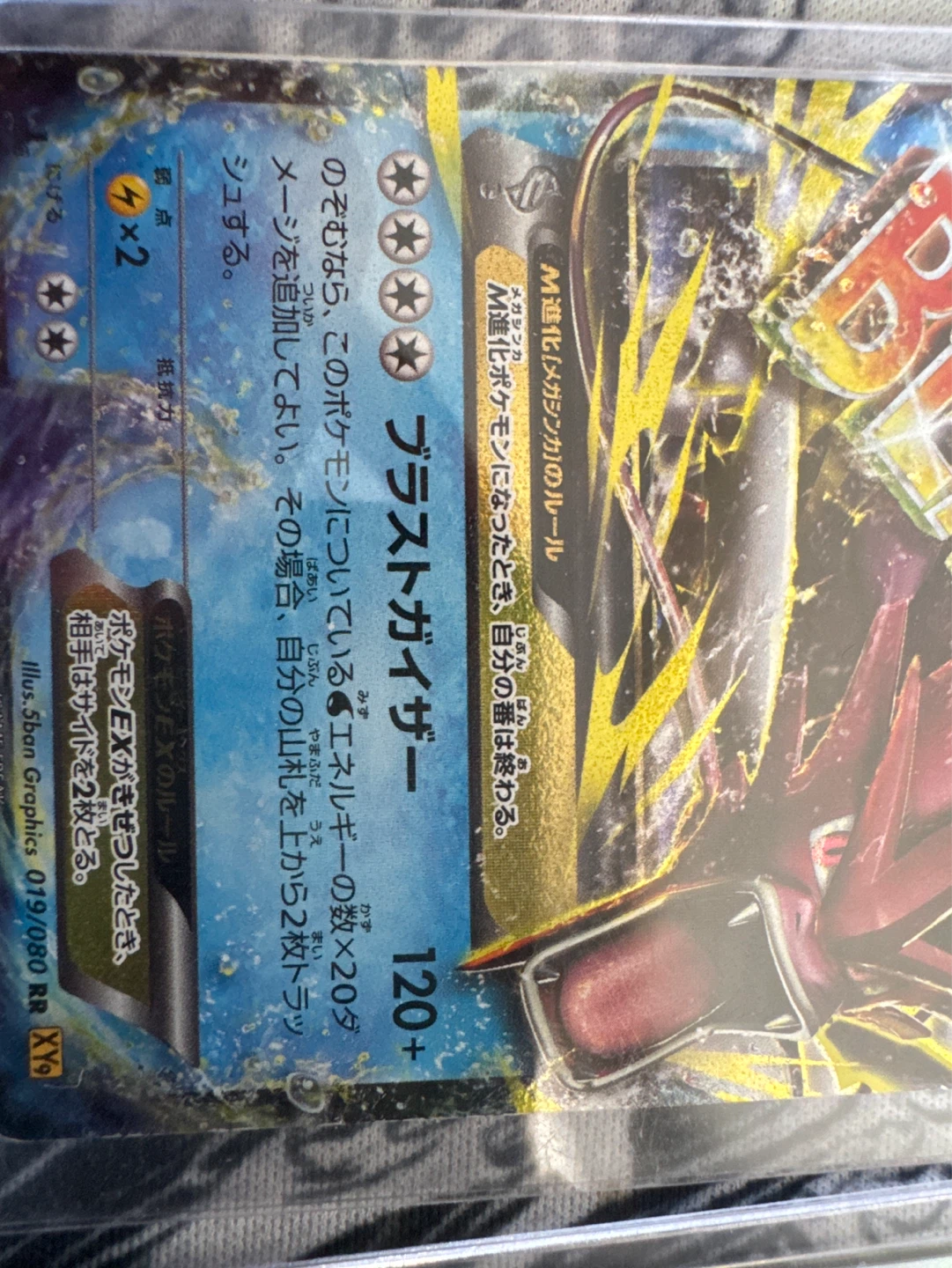 Pokemon M Gyarados EX & Trainer Card Bundle - photo 4