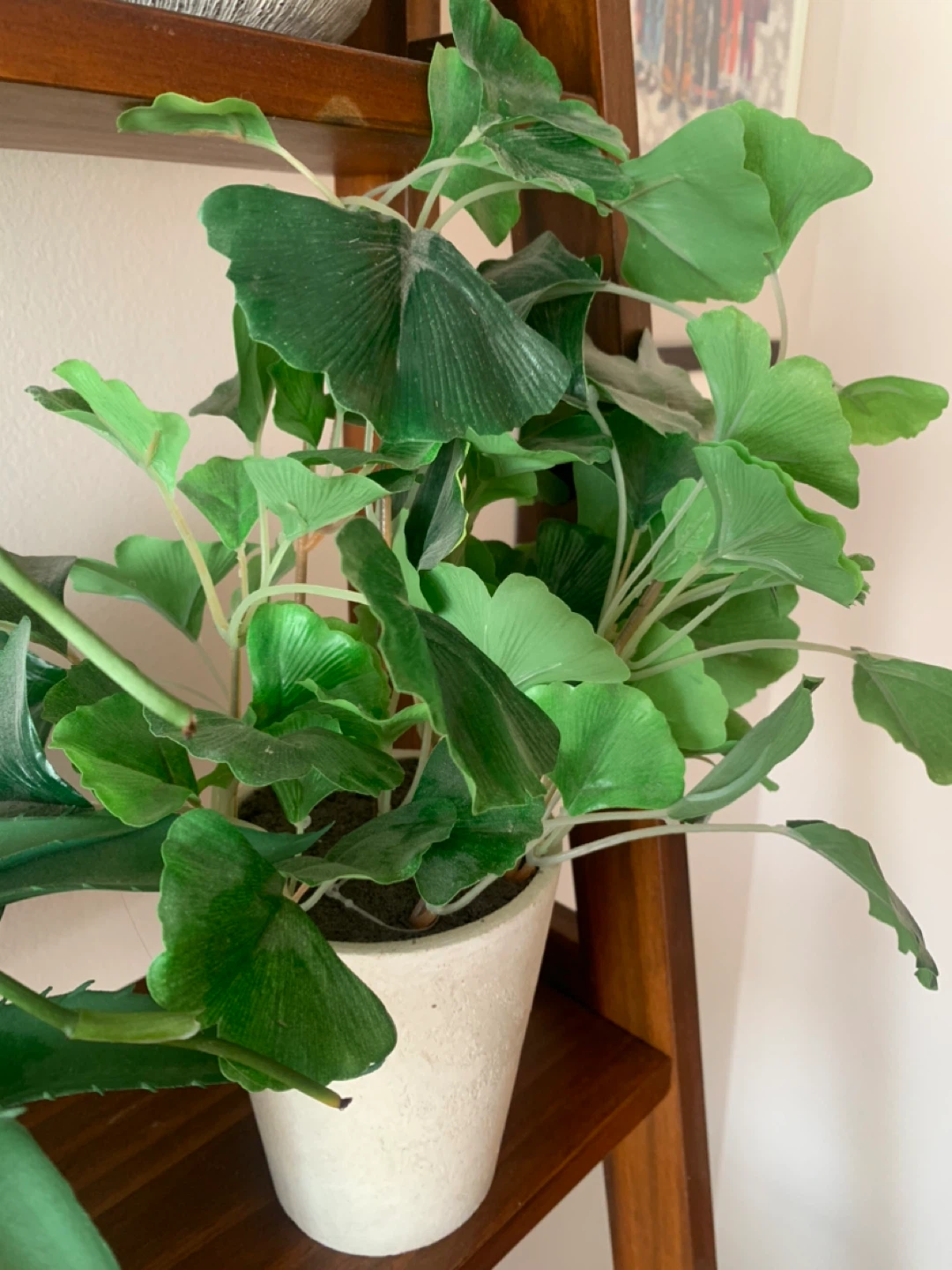 Artificial Plants in Decorative Pot / heavy duty pots - photo 5