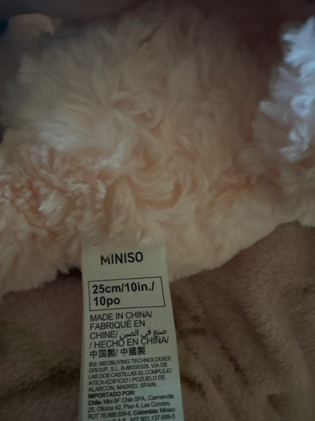 MINISO Pink Teddy Bear Plush Toy - 10 inch - photo 3