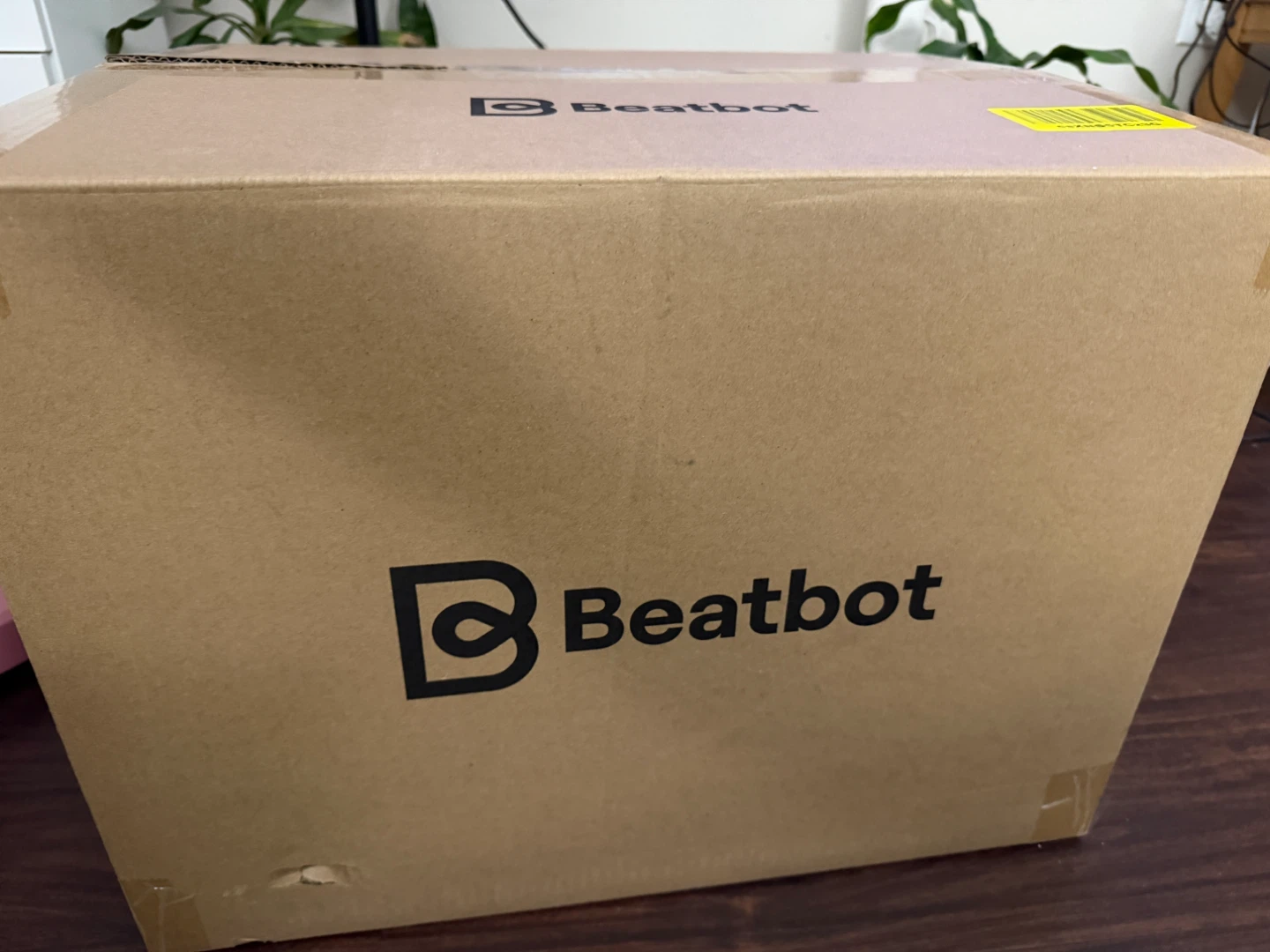 Beatbot Sora 10 Cordless Pool Vacuum Robot - photo 3