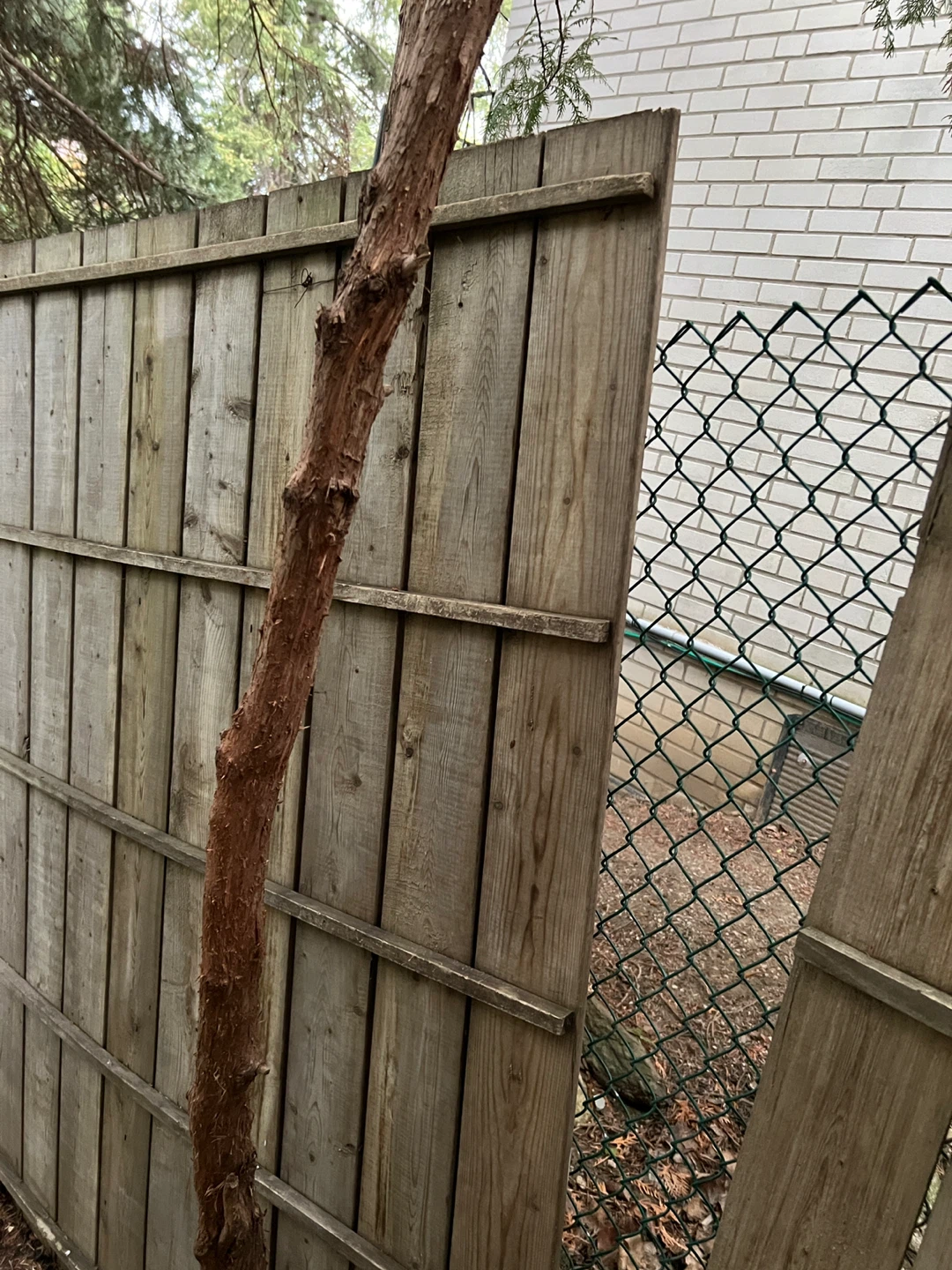 Free Wooden Fence Panel - photo 3