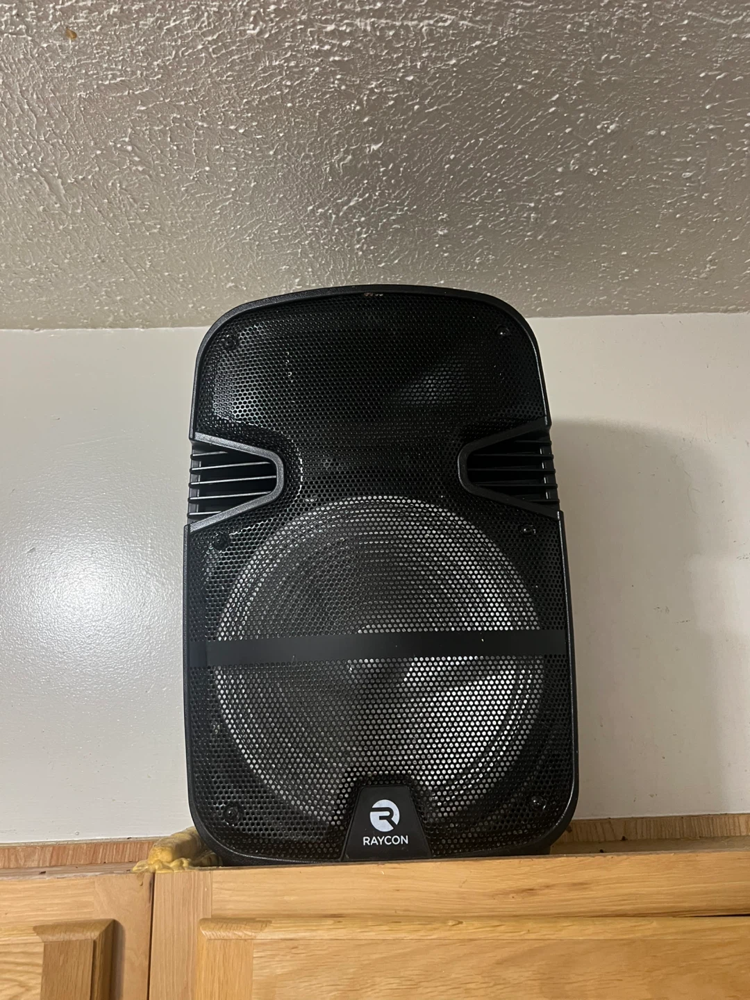 Raycon Bluetooth Speaker / party speaker