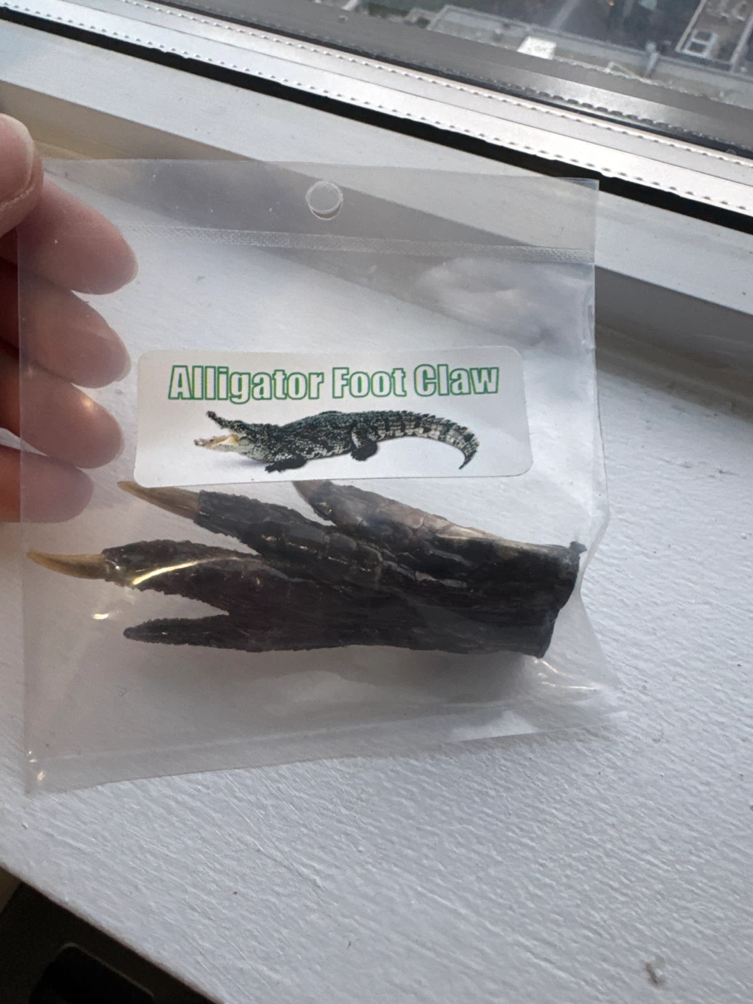Alligator Foot Claw