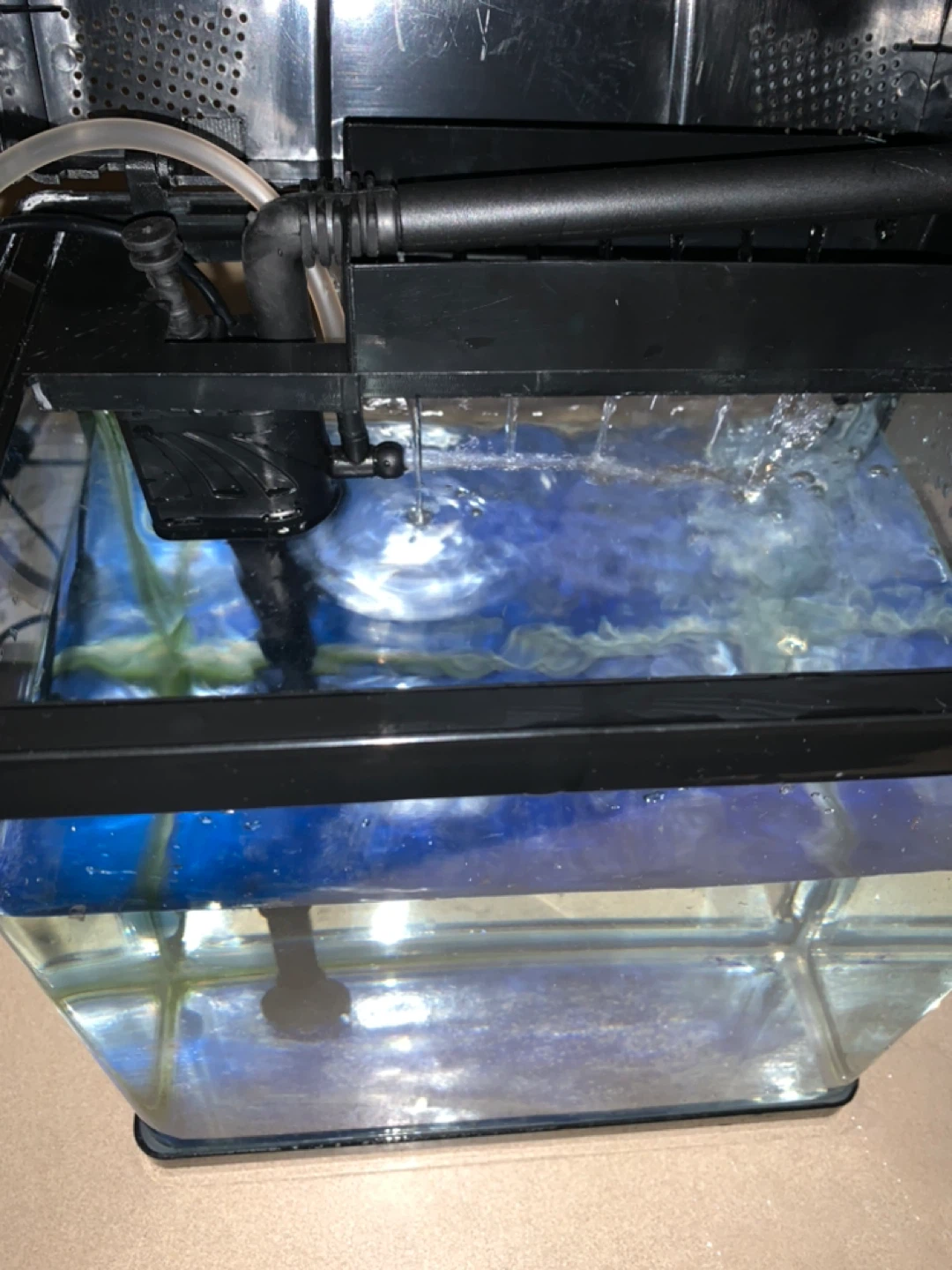 PONDON Aquarium Setup with LED Light and Beginner's Guide - photo 4
