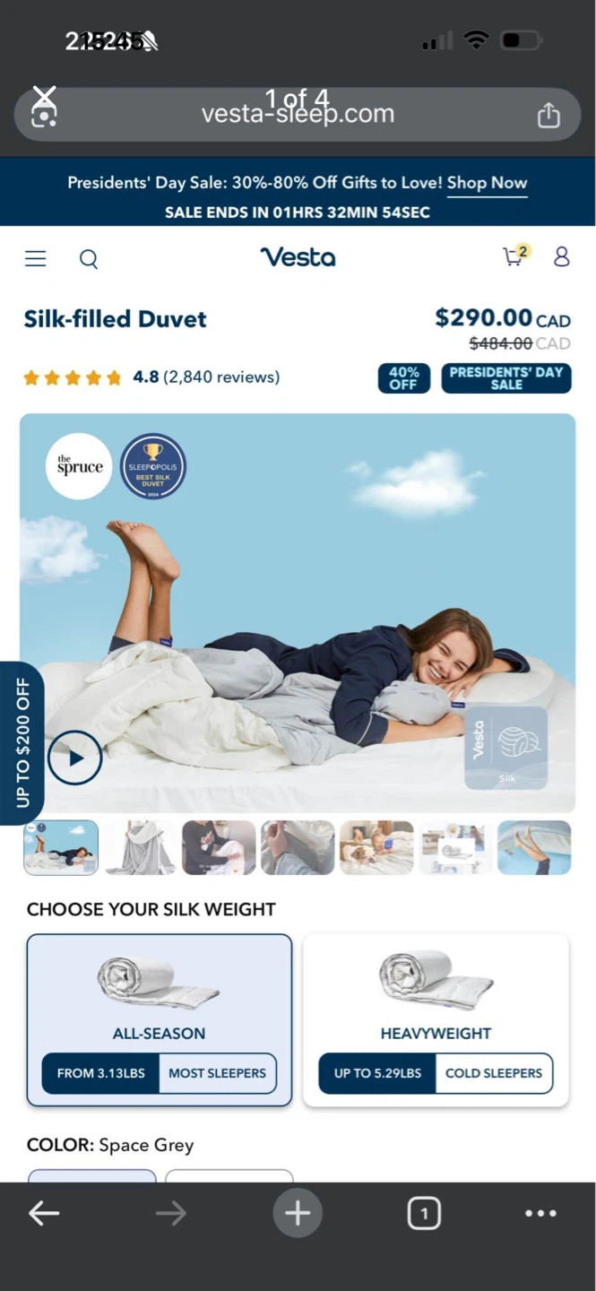 Vesta Silk-filled Duvet Queen - Space Grey