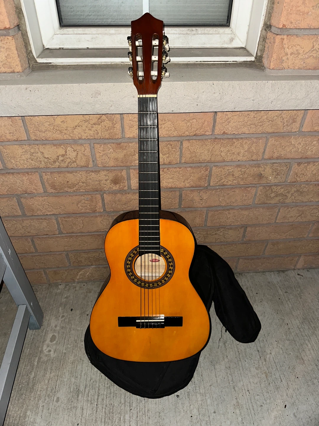 Acoustic Guitar with Gig Bag