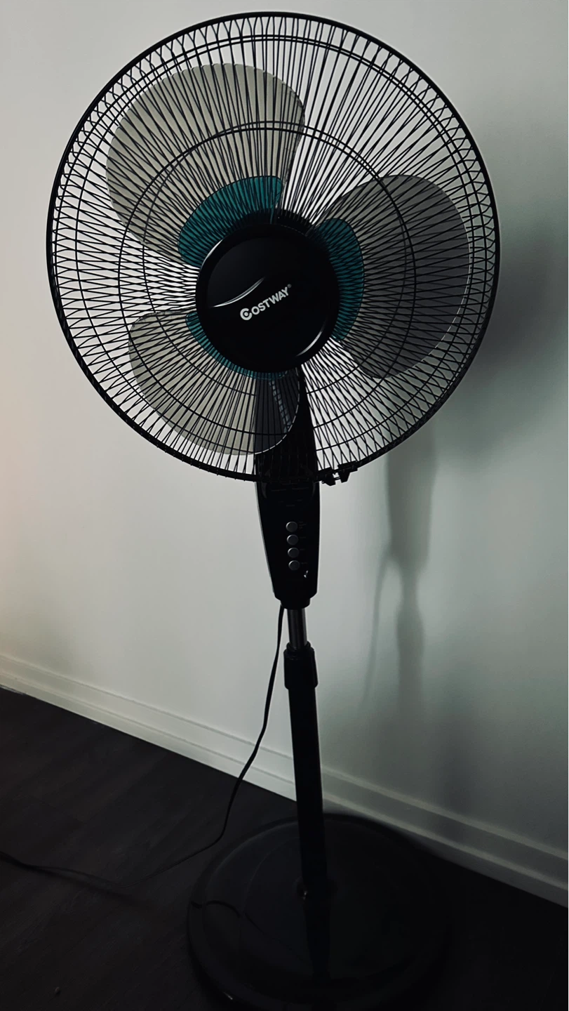 Costway Black Pedestal Fan