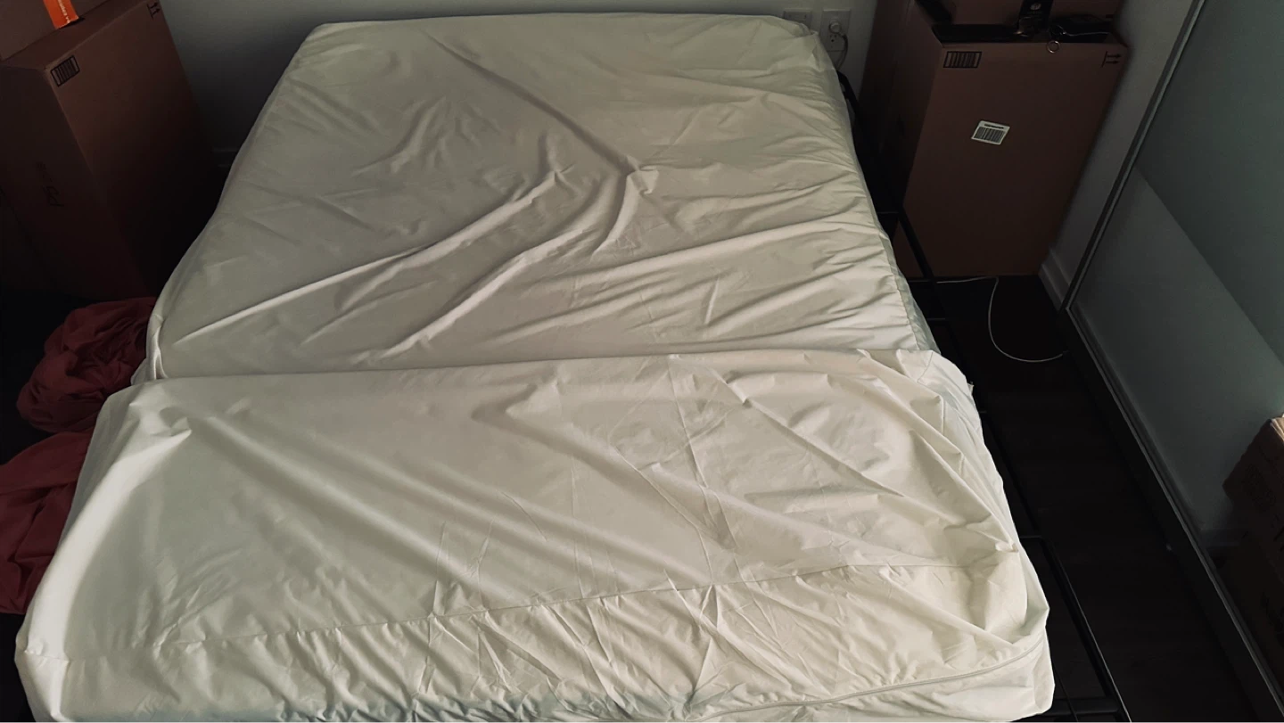 Linespa 8 inch full size Mattress