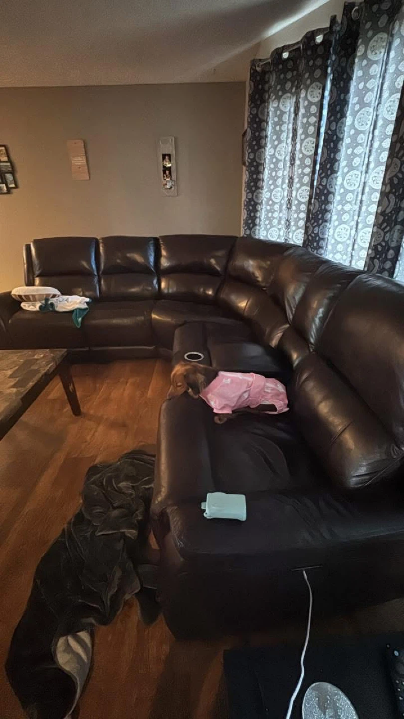 Brown Leather Sectional Sofa with Recliners