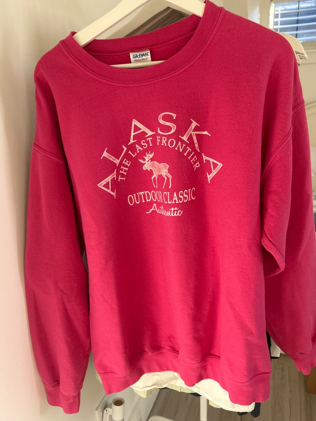 Pink Alaska hoodie