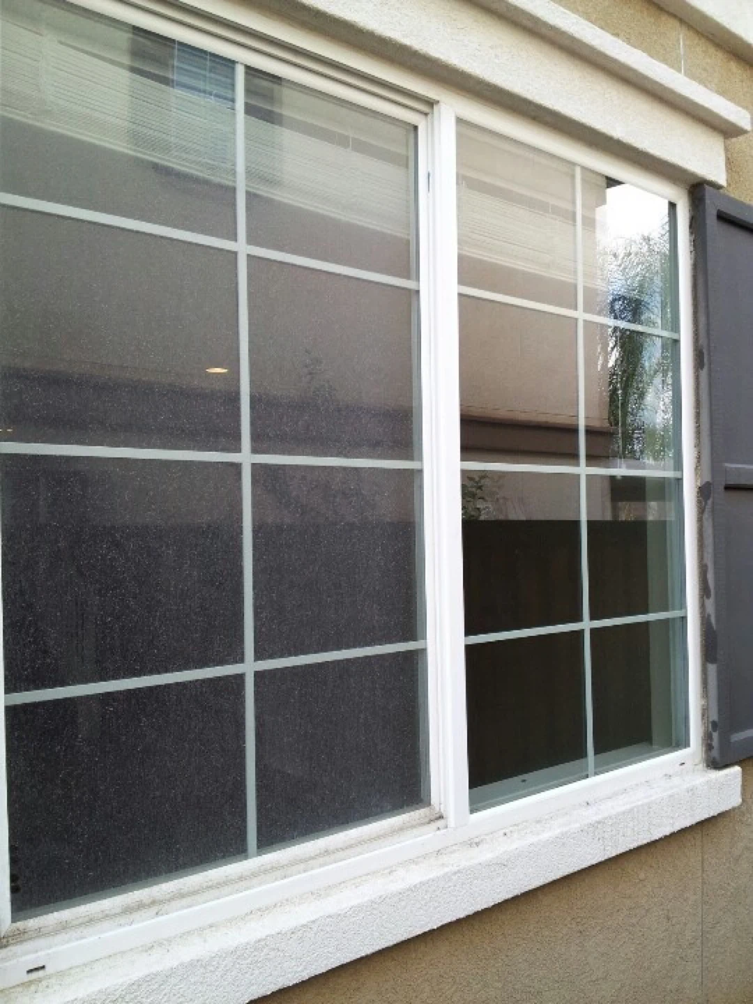 Pane Patrol!- Professional Window Cleaning Service