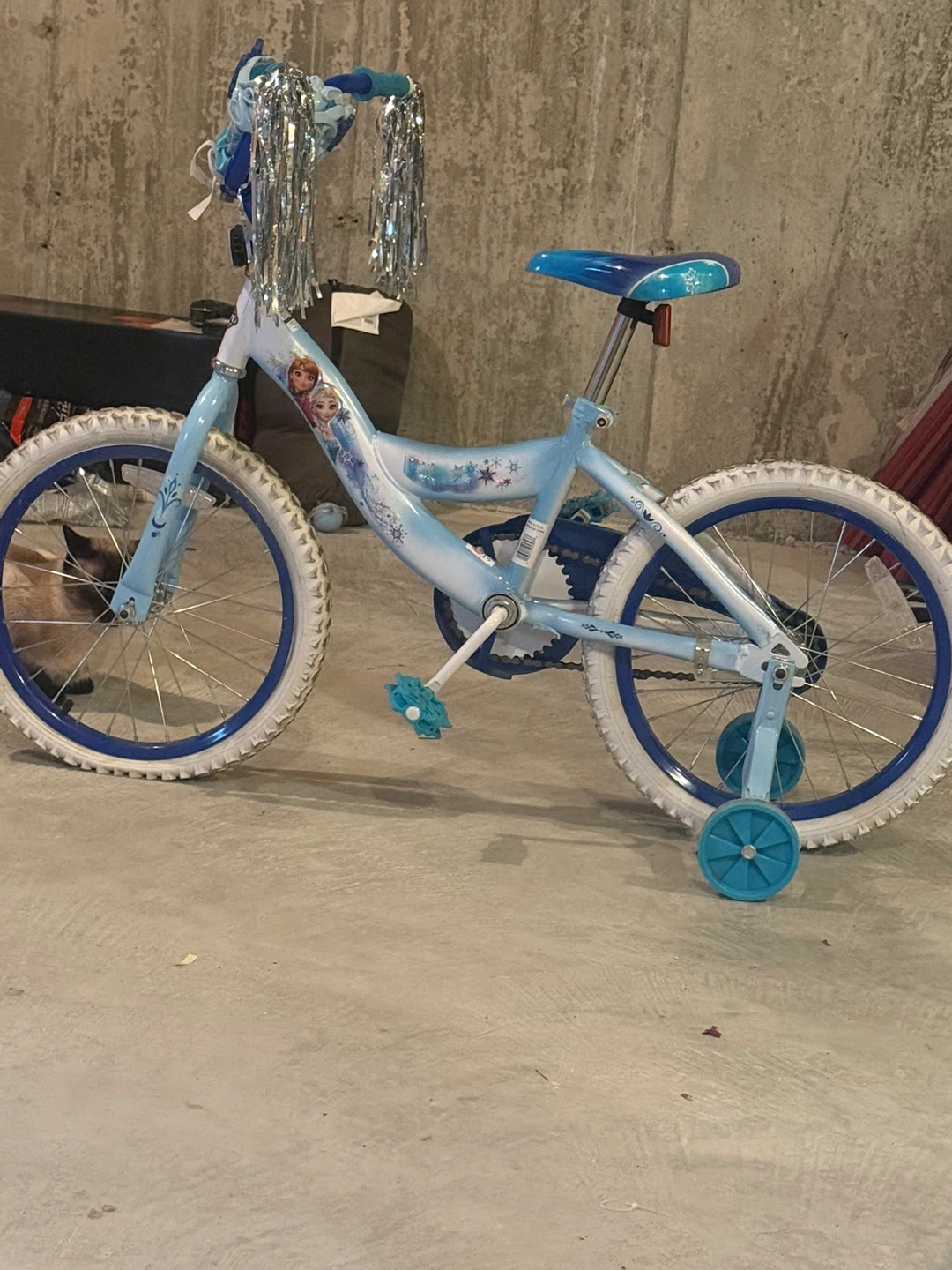 Kids' Frozen Bicycle and blue tricycle bundle