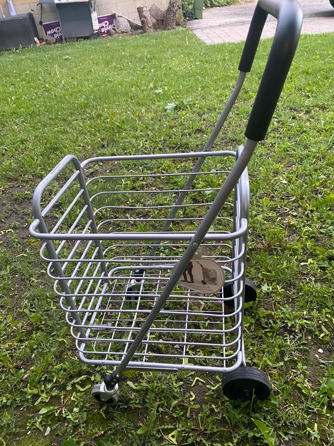 Type A Shopping Cart - Max Capacity 30 lbs - photo 3