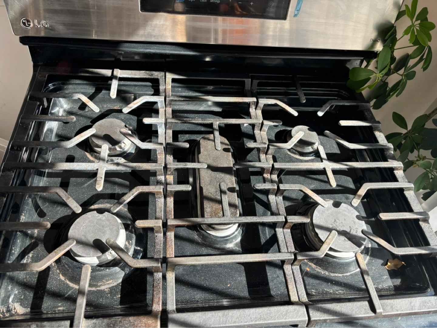 LG Stainless Steel Gas Range - photo 3