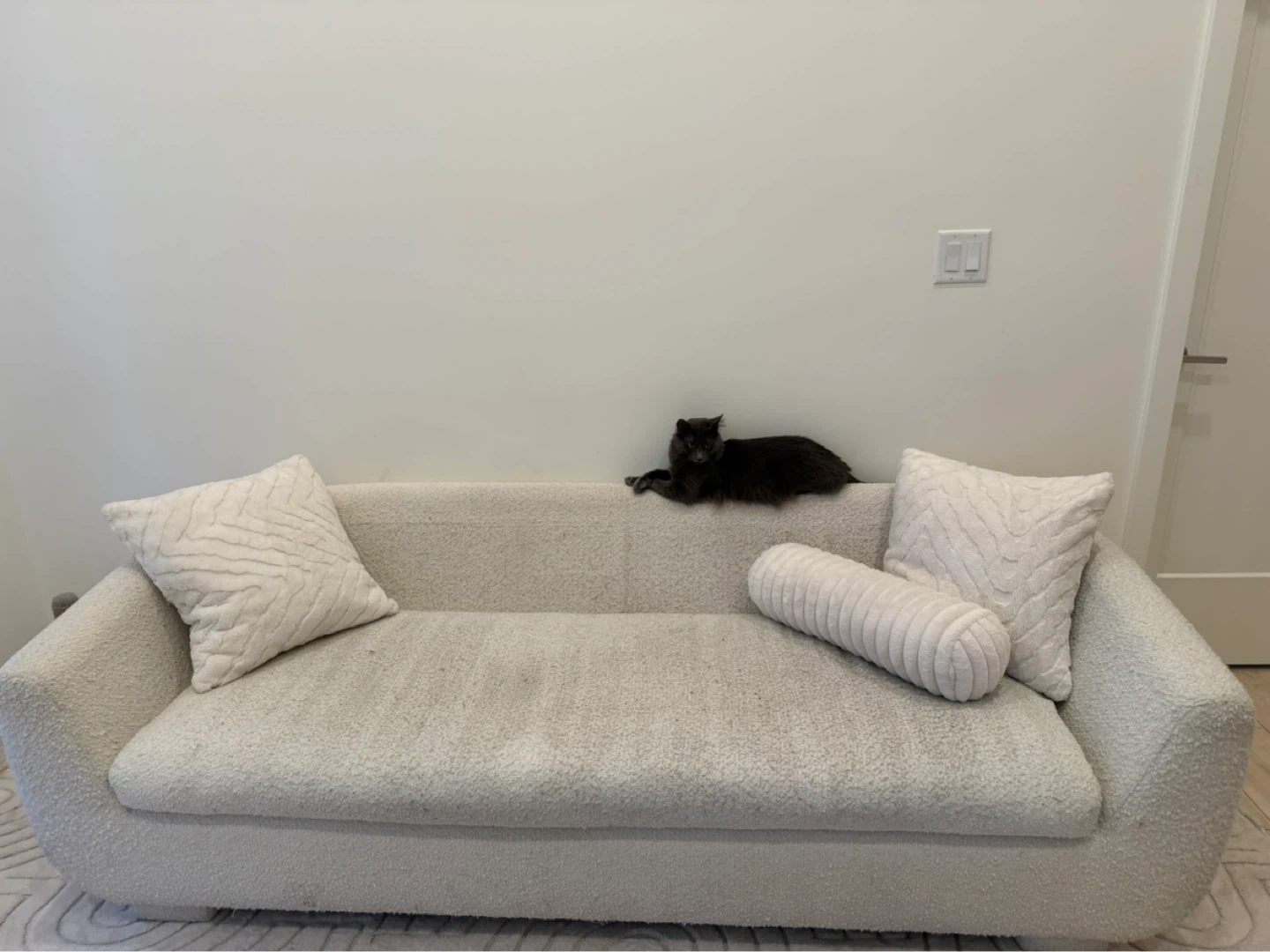 Modern Bouclé Sofa with Decorative Pillows