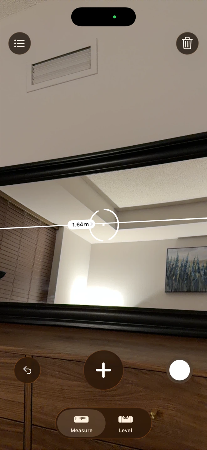 Large Framed Mirror - Black - photo 3