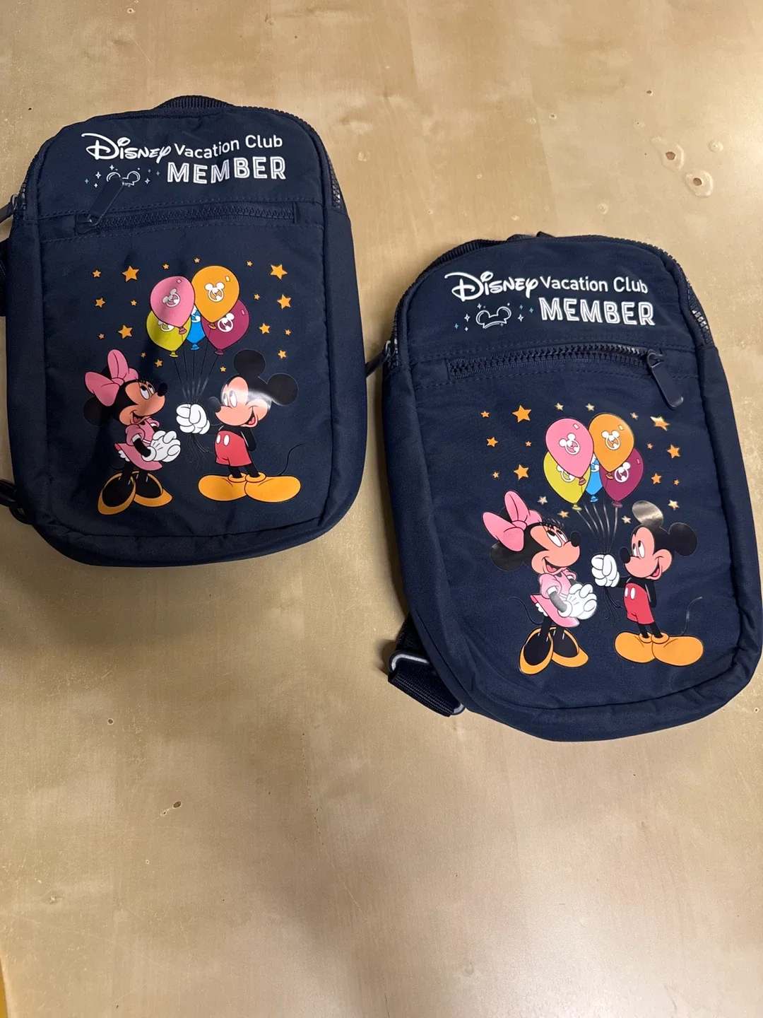 Disney Vacation Club Member Mini Backpacks (2-Pack)