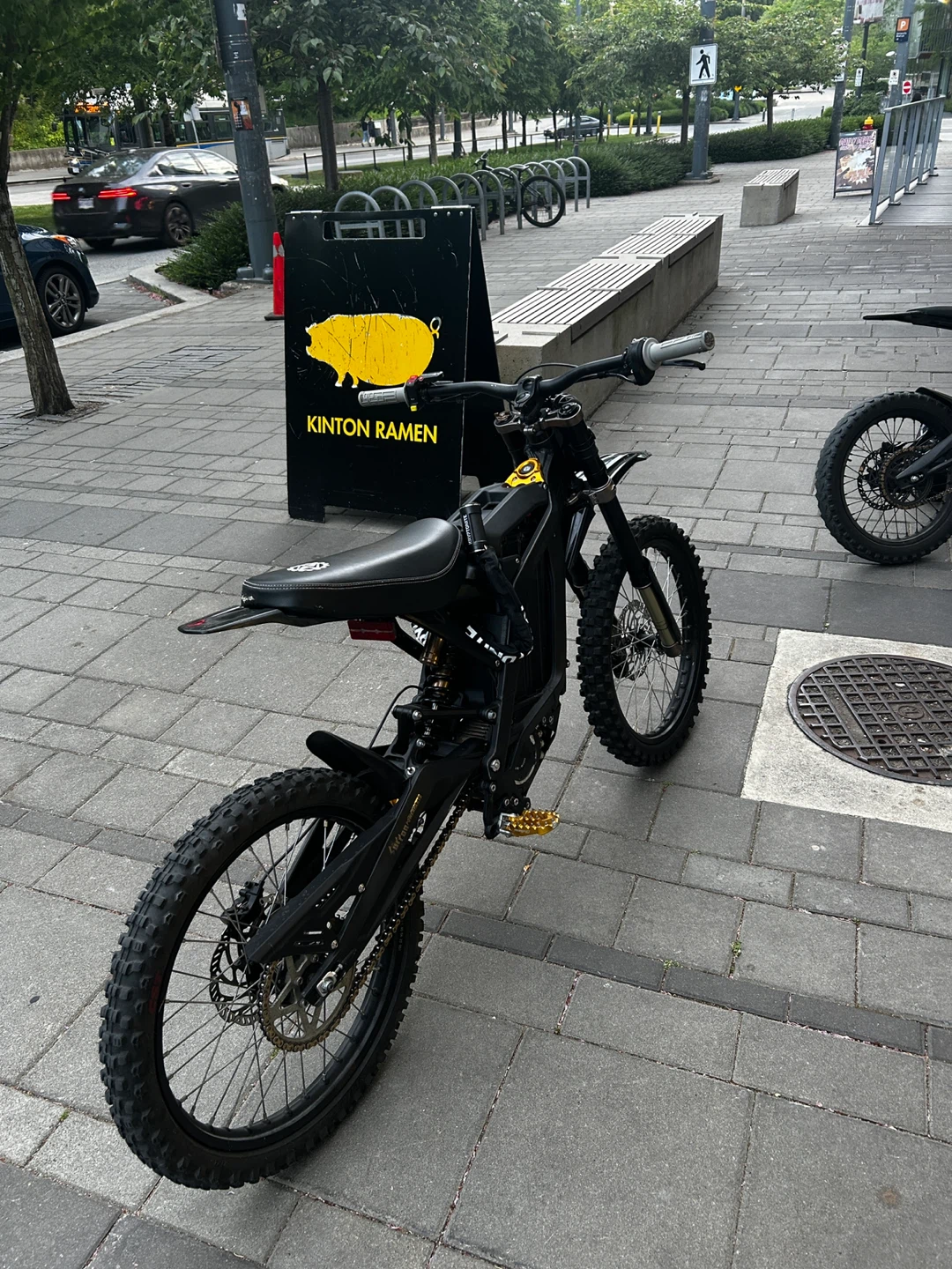 Surron Electric Dirt Bike - Black - photo 2
