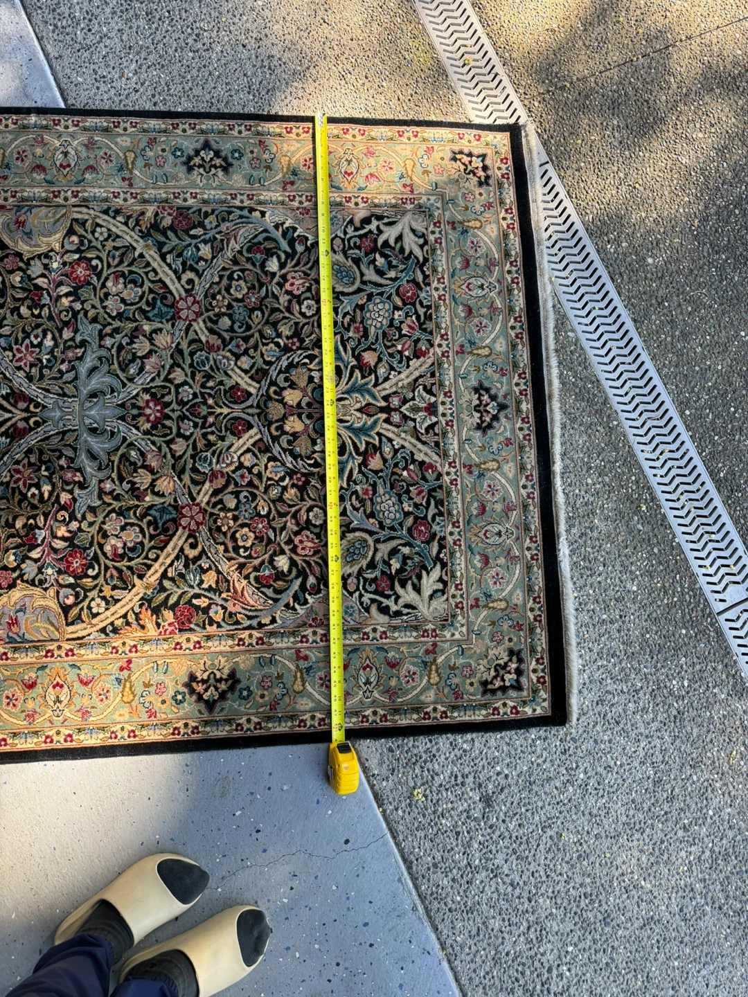 Oriental Area Rug - 4' x 6' - photo 3