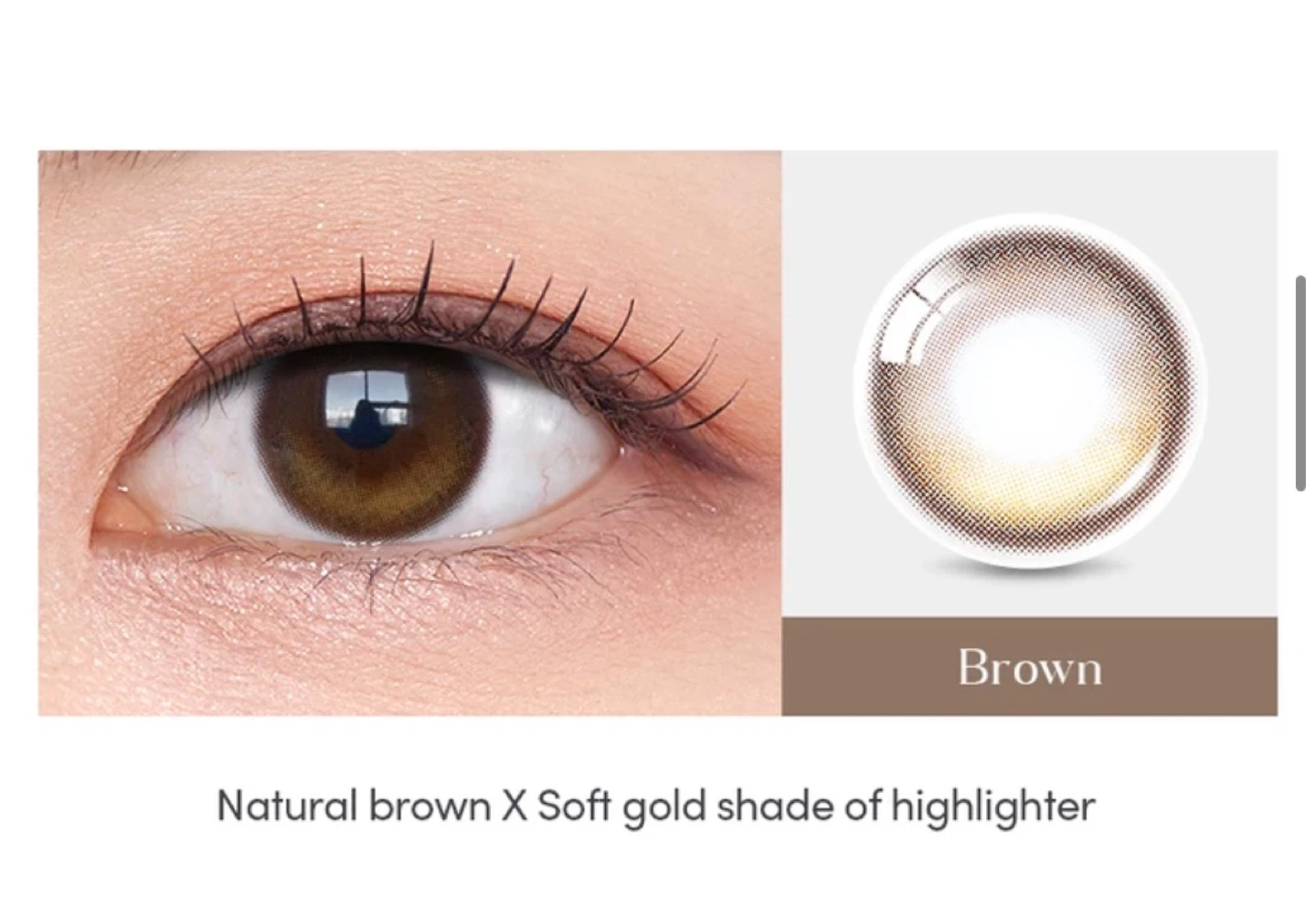 OLENS Glowy Eyelighter Brown Contact Lenses (2 Pack)