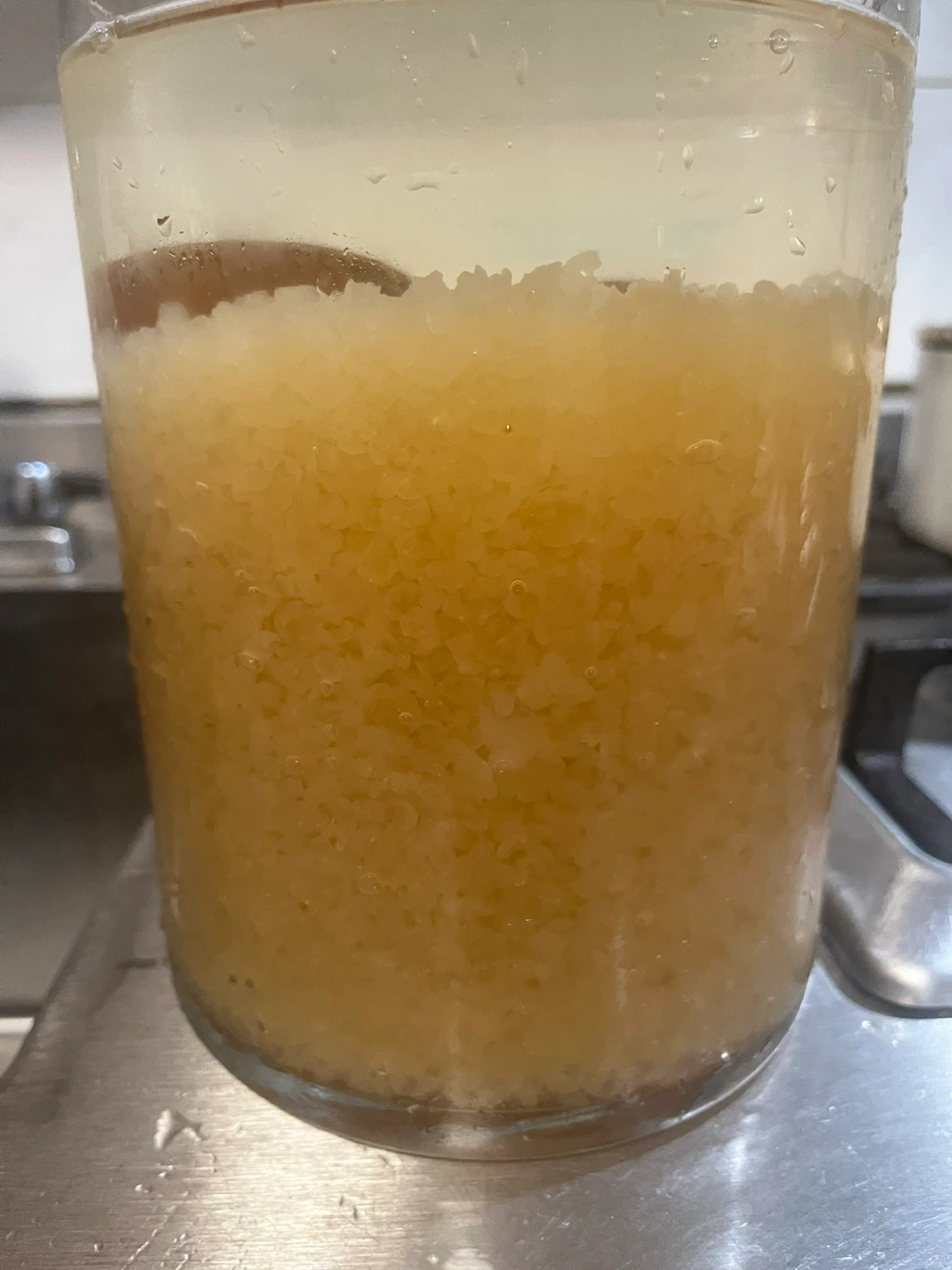 Kefir Grains - photo 3