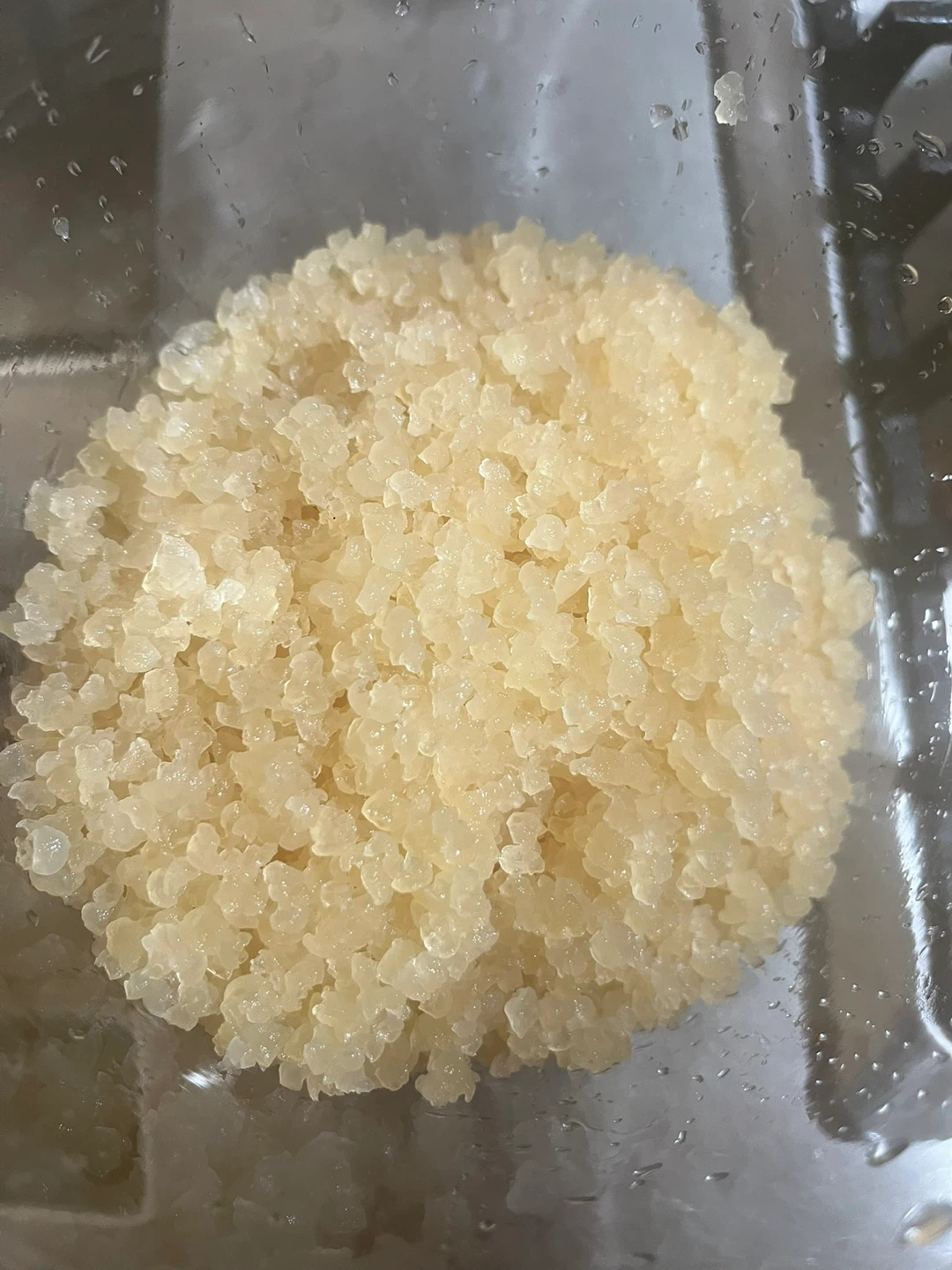 Kefir Grains - photo 2