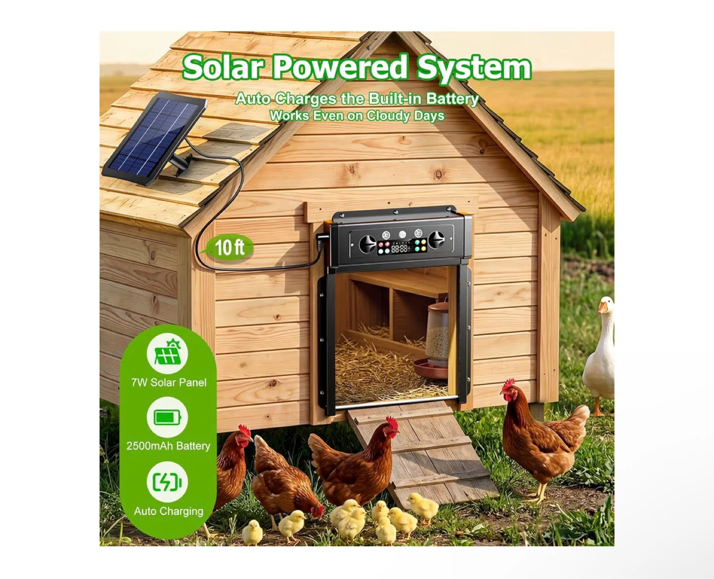 Automatic Chicken Coop Door Solar Powered System - photo 2