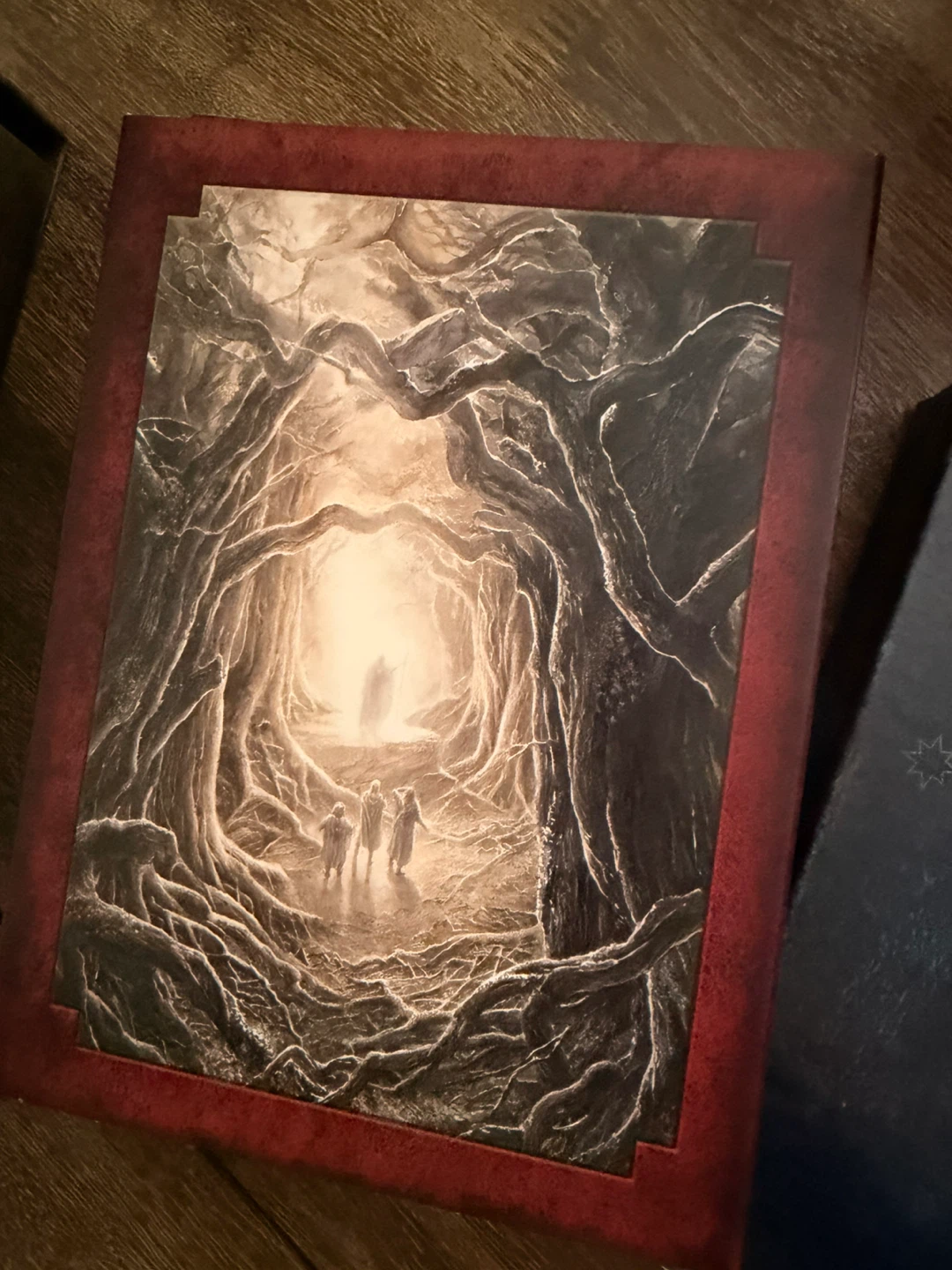 The Lord of the Rings Special Extended DVD Edition Trilogy Set - photo 3