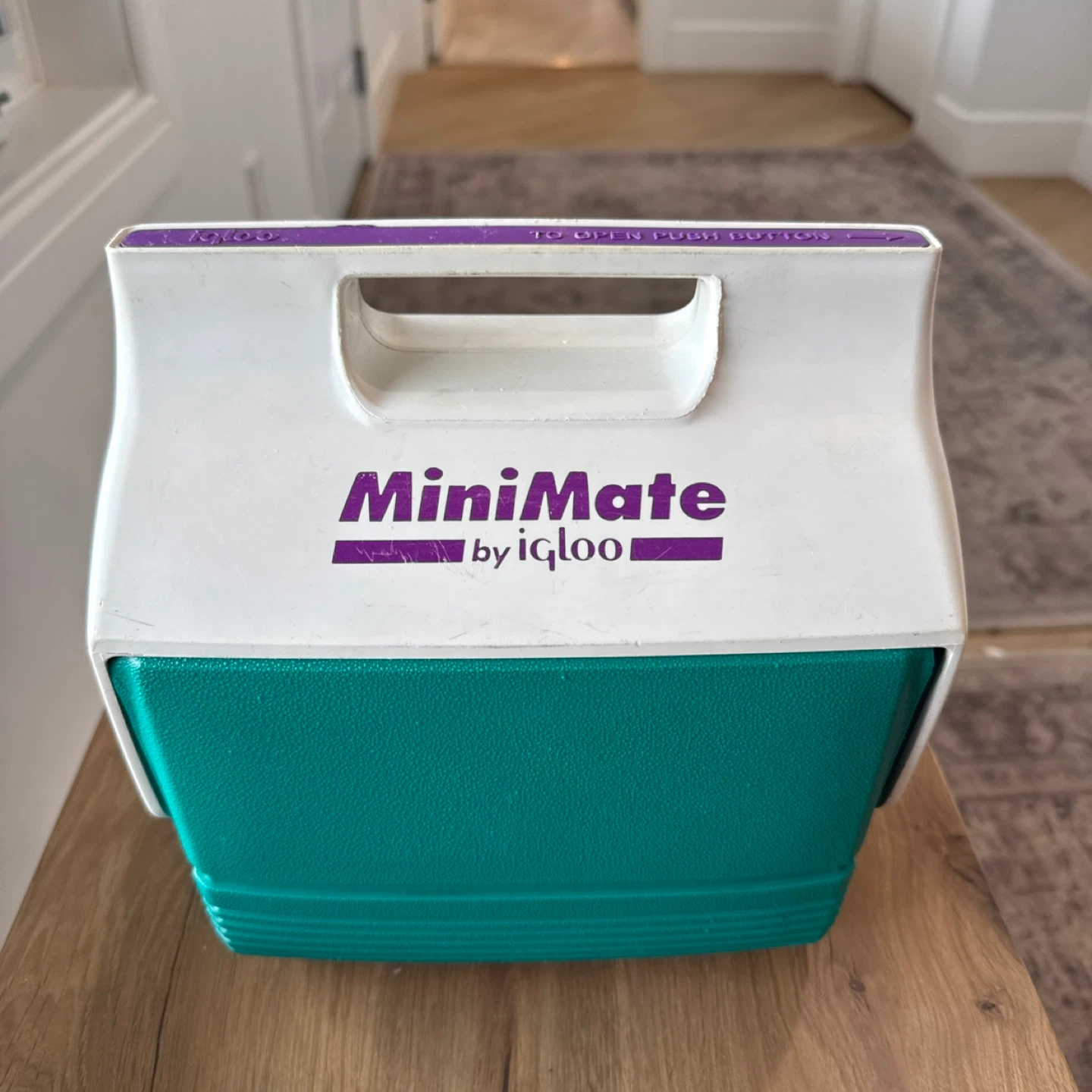 Vintage Igloo MiniMate Cooler - Teal and White