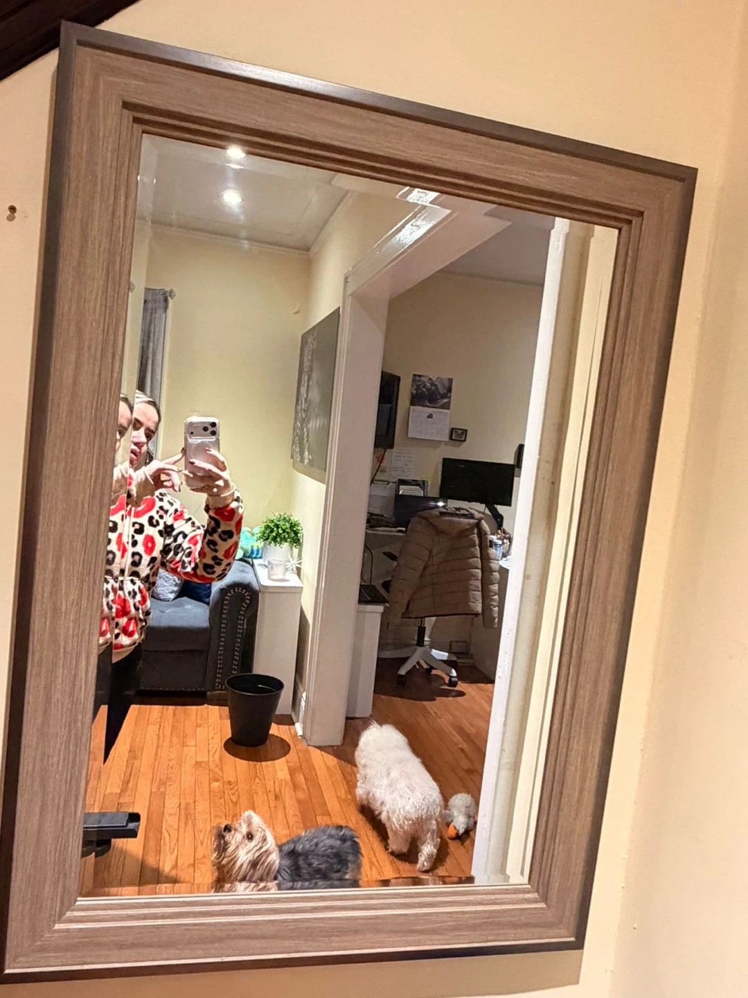 2 espejos (Mirror)
