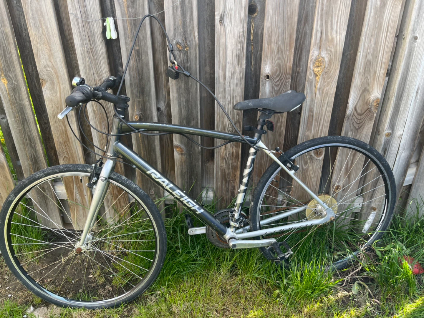 Raleigh Hybrid Bike