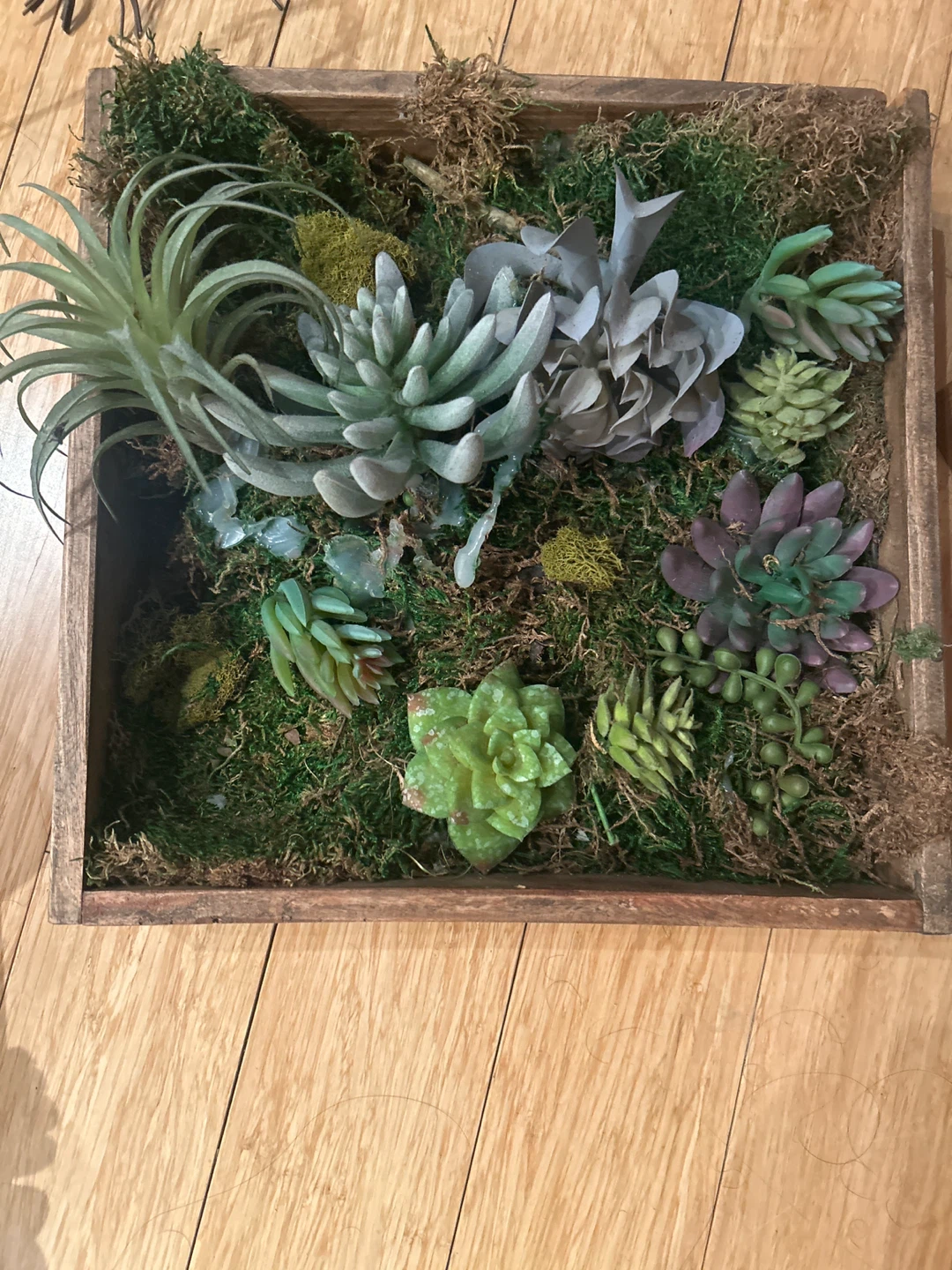 Wooden Box with Assorted Faux Succulents