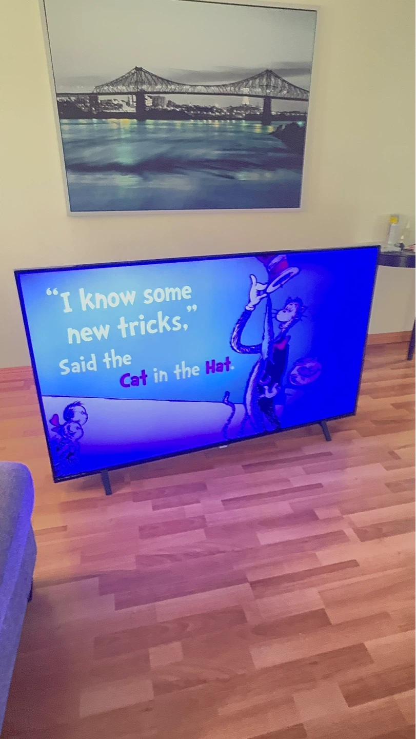Phillips 65 inch tv