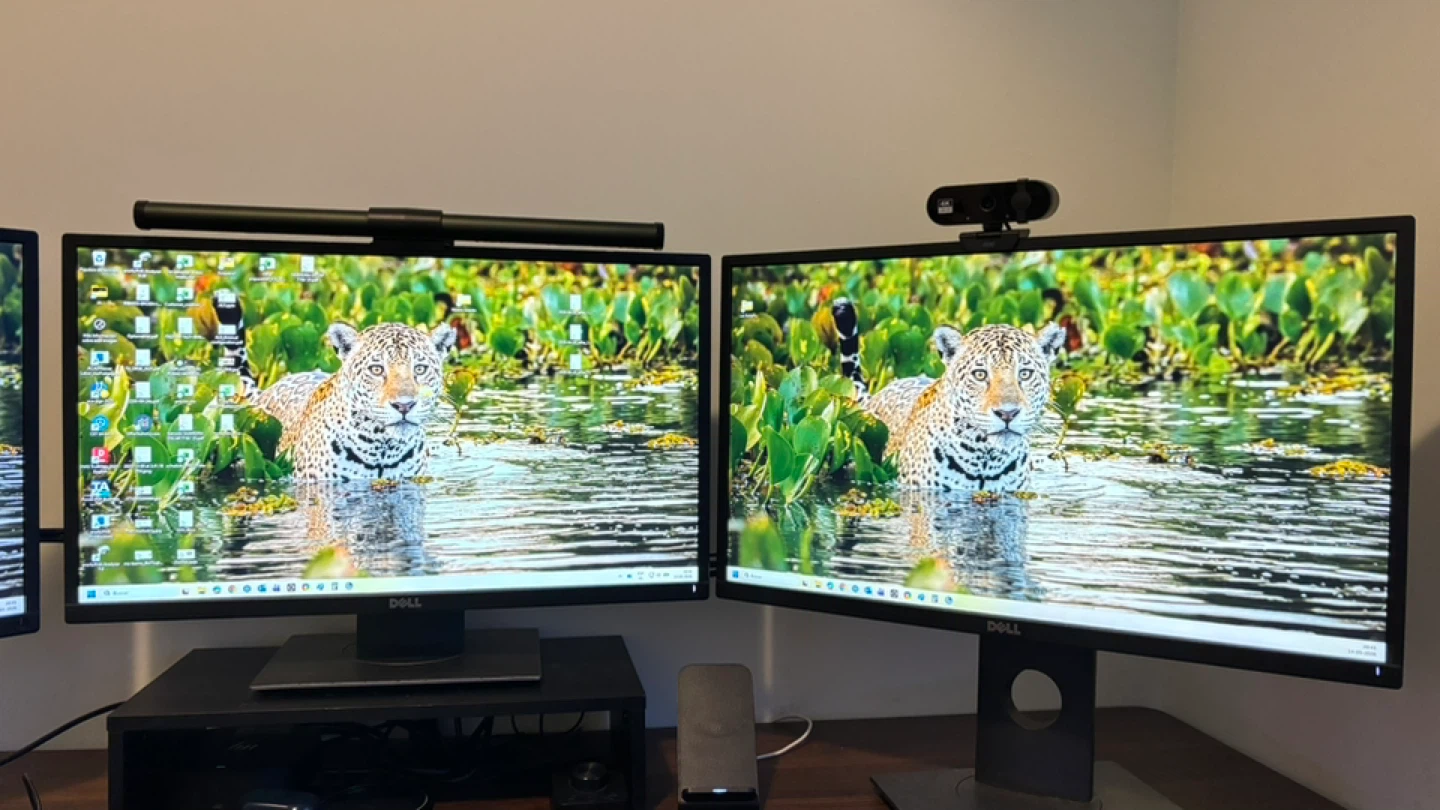 3 units Dell Monitor - photo 5