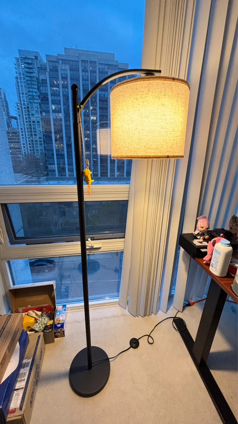 Arc Floor Lamp with Drum Shade