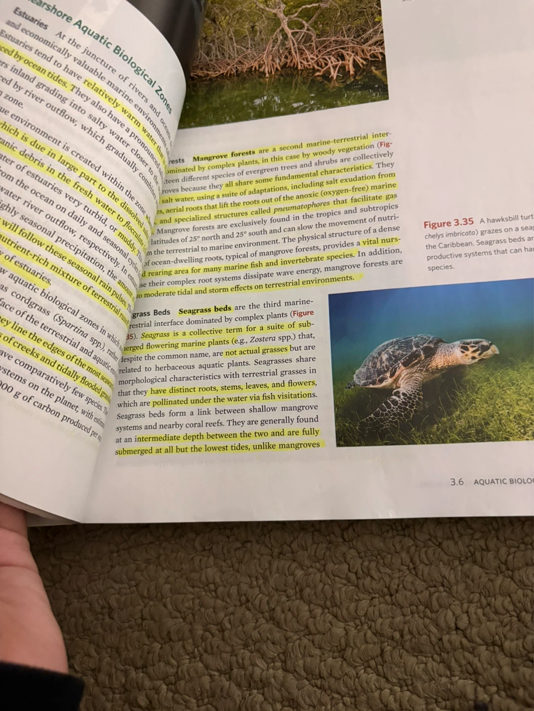 Ecology in a Changing World Textbook - photo 3