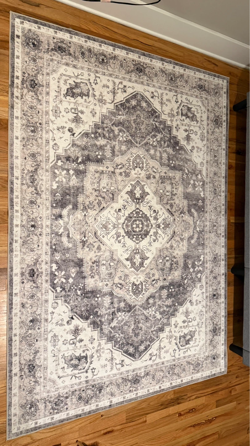 Persian Style Area Rug