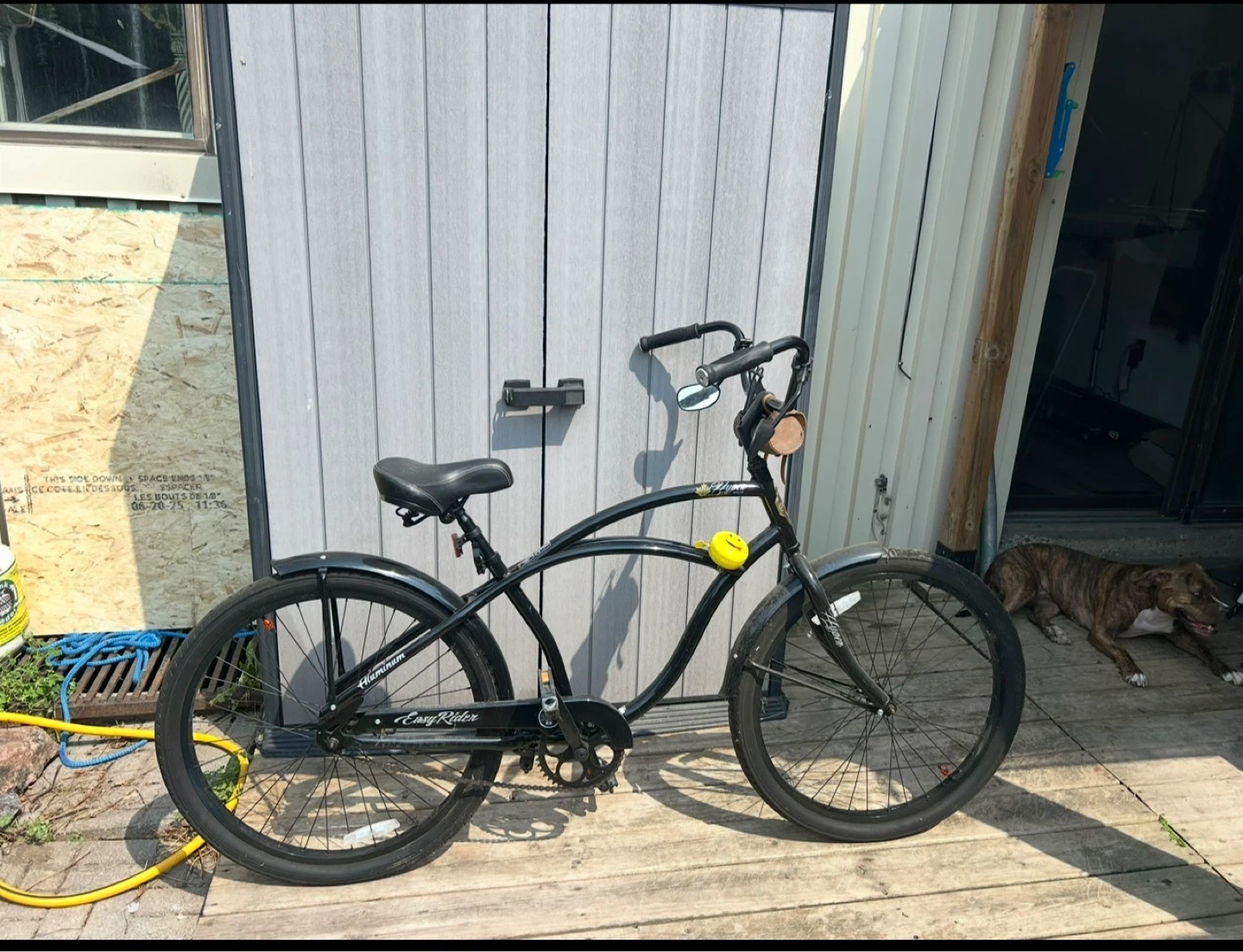 His and Hers Cruising Bikes