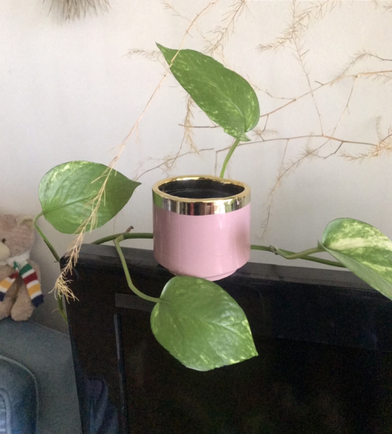 Lovely Pink & Gold Ceramic Plant Pot ✨+FREE Insert - photo 2