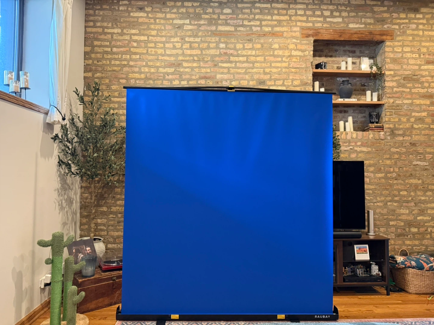 RAUBAY Portable Backdrop Stand