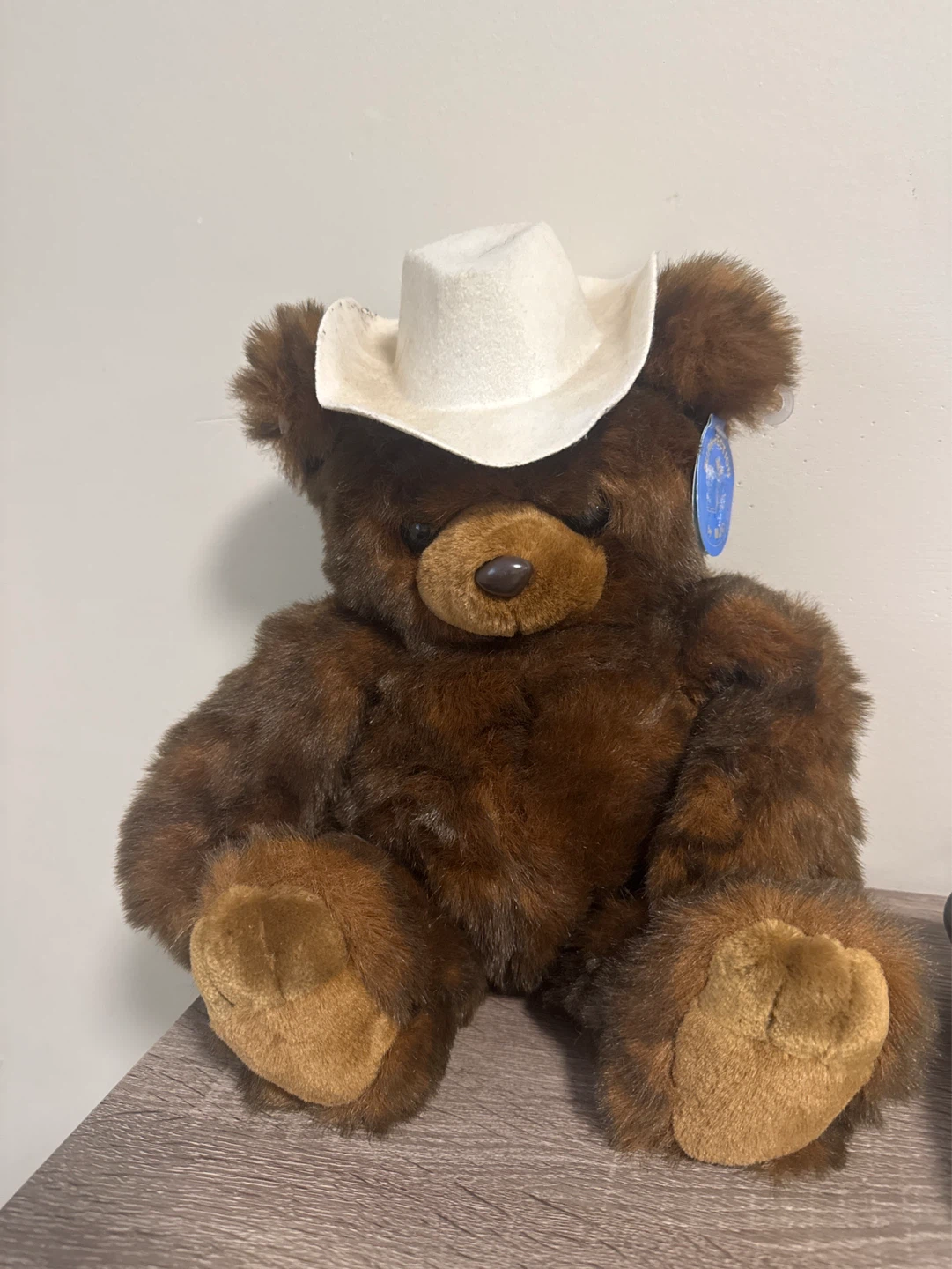 MJC "Purr-fection" Teddy Bear