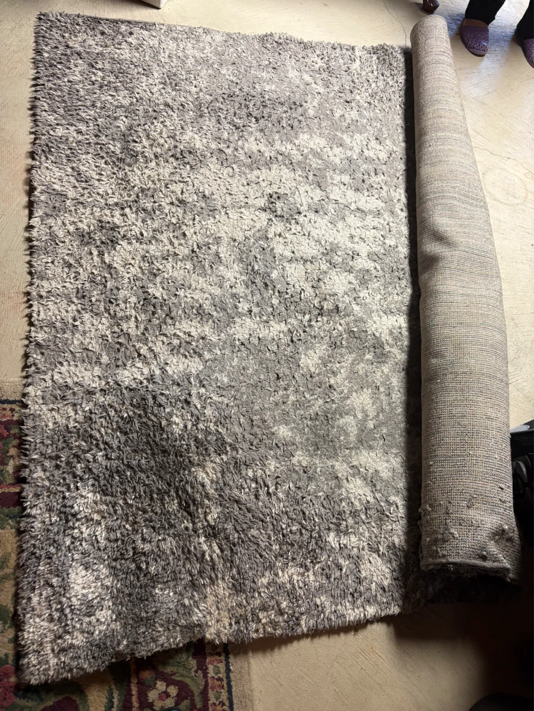 Area Rug 6 ft x 9 ft